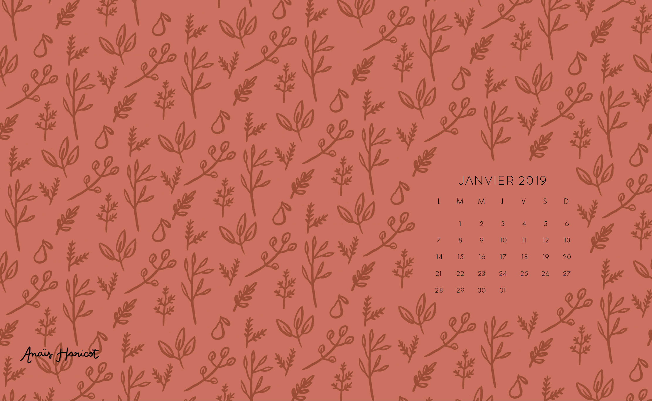 fond d'écran ordi janvier 19 .png