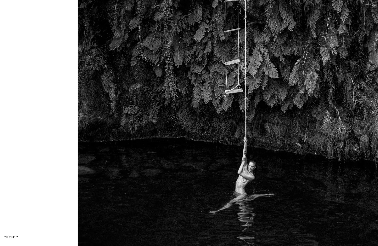 Dsection - The Journey with Cristiano - Geres 01.jpg