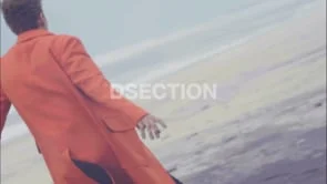 UNTITLED - DSECTION x APICCAPS