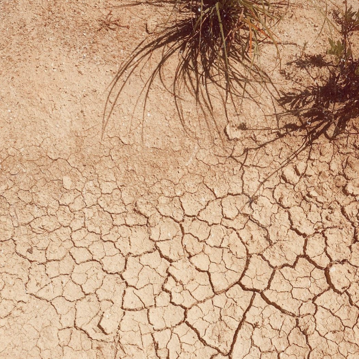 Captura de ecrã 2020-01-20, às 16.17.40.png