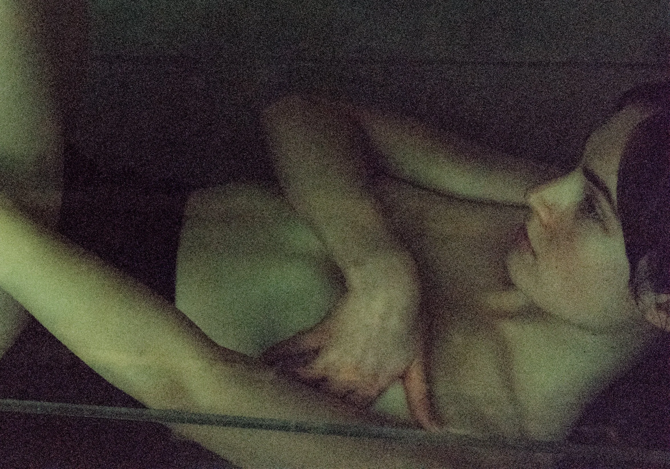 B009020-R1-32-34A.jpg
