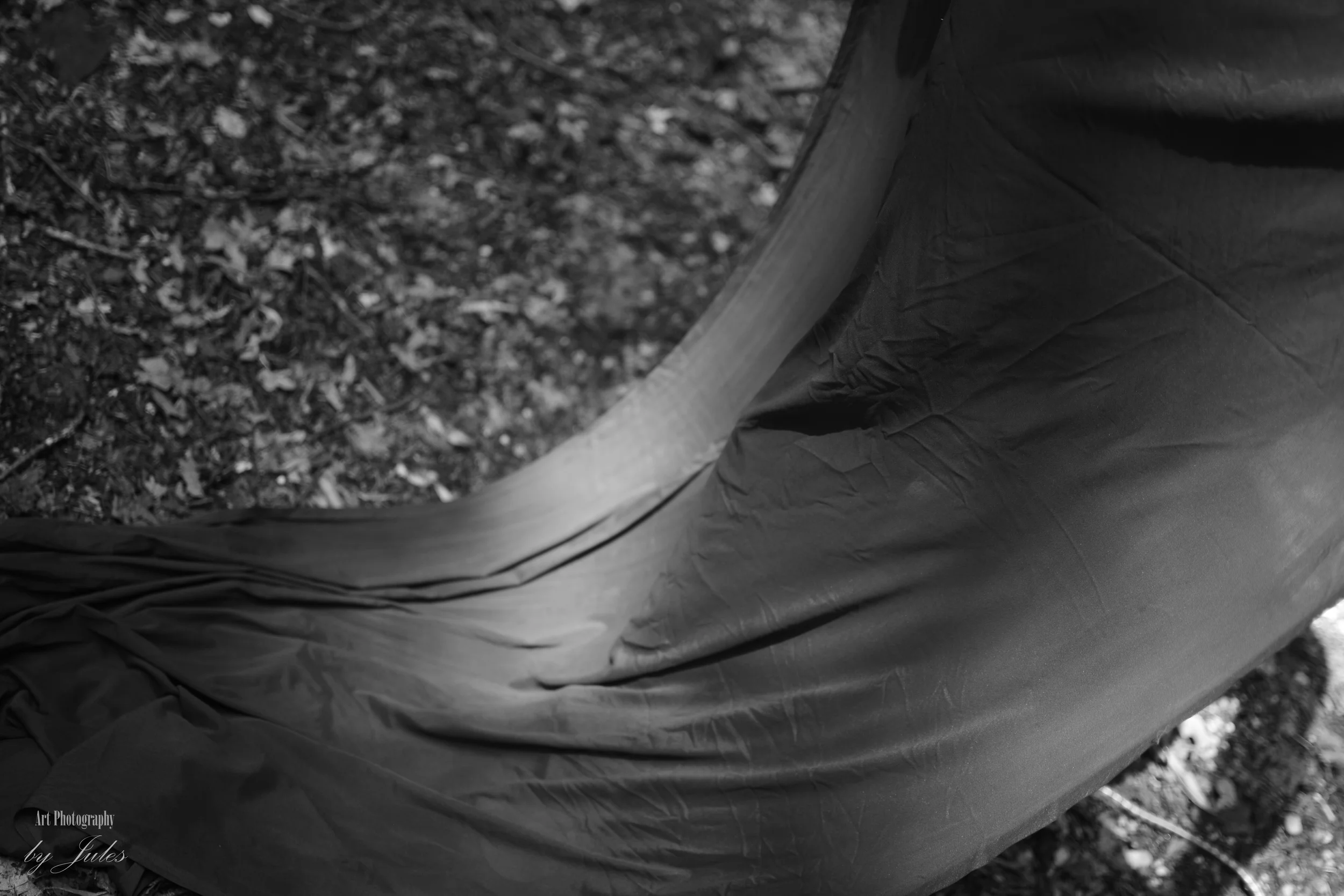 DSC_6277.JPG
