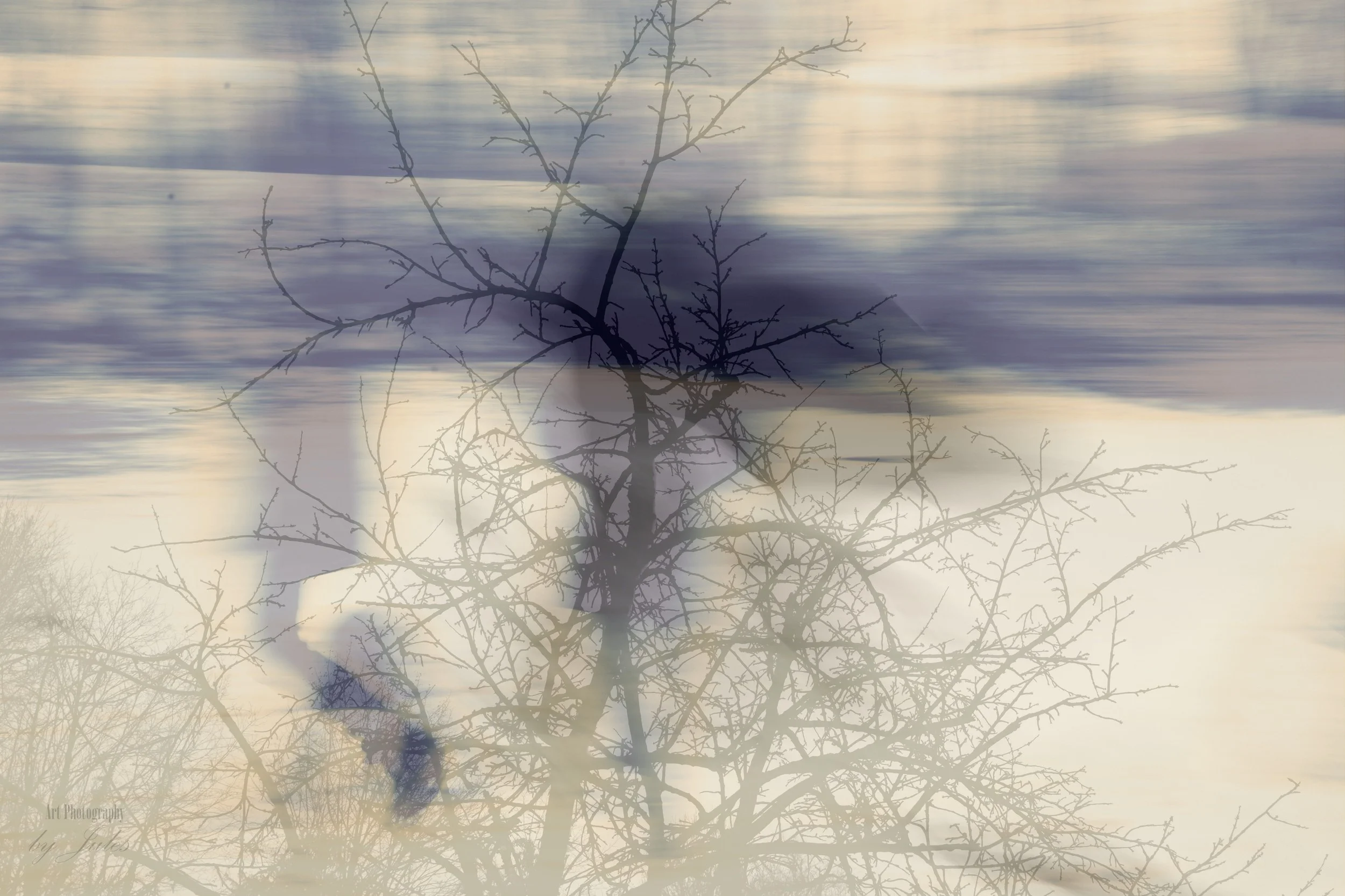 motion7.jpg