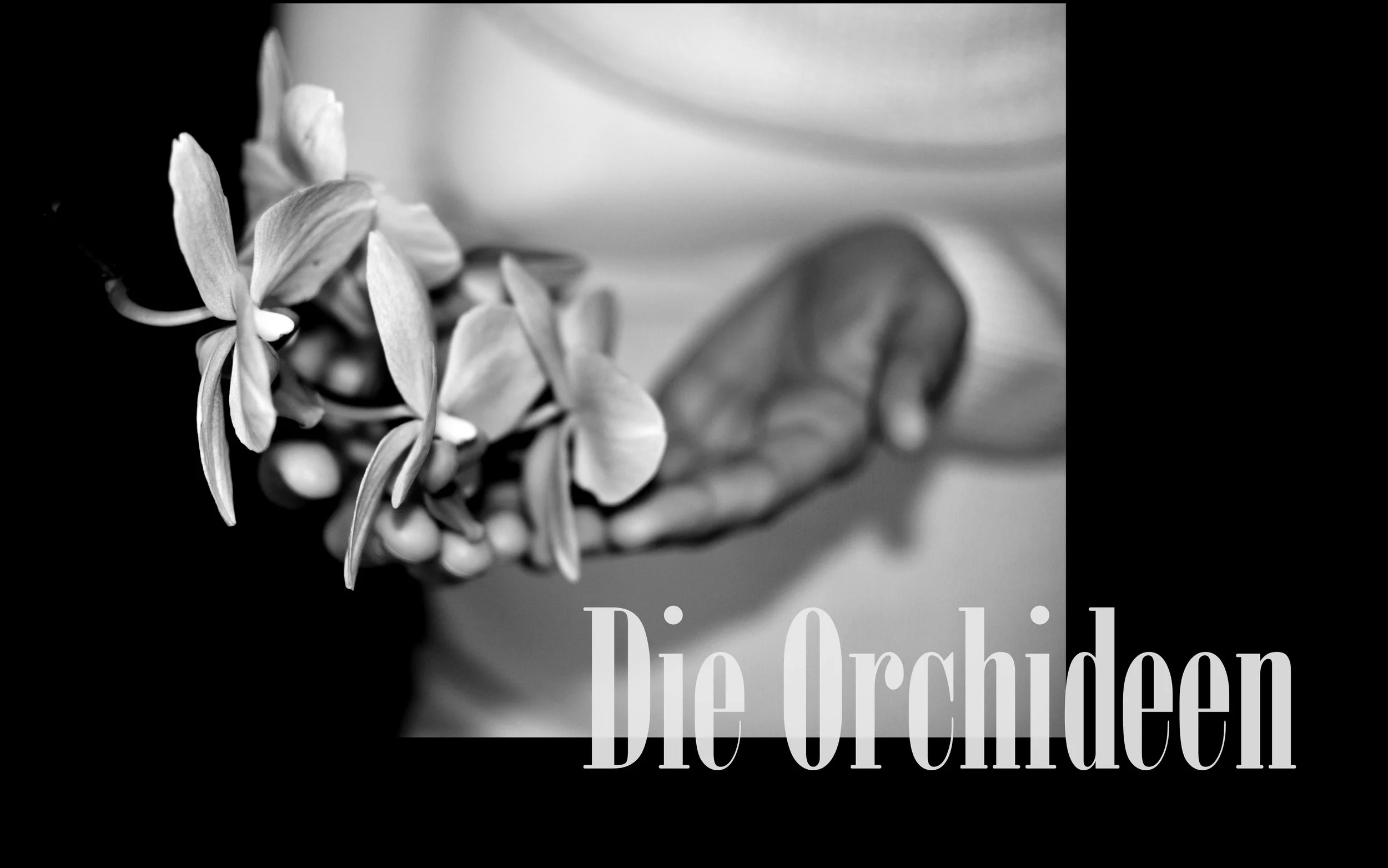 orchideen 1.jpg