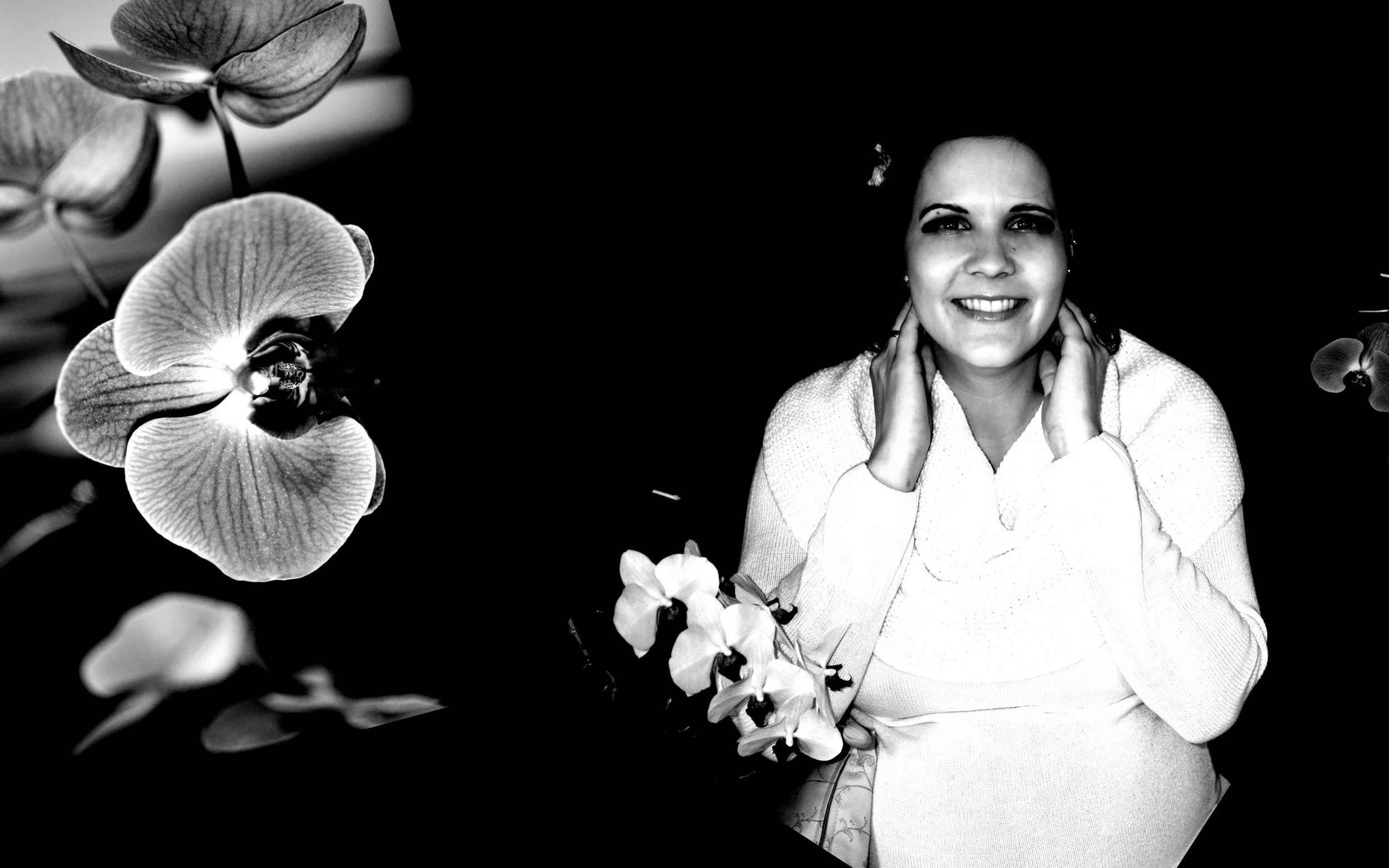 orchideen 3.jpg