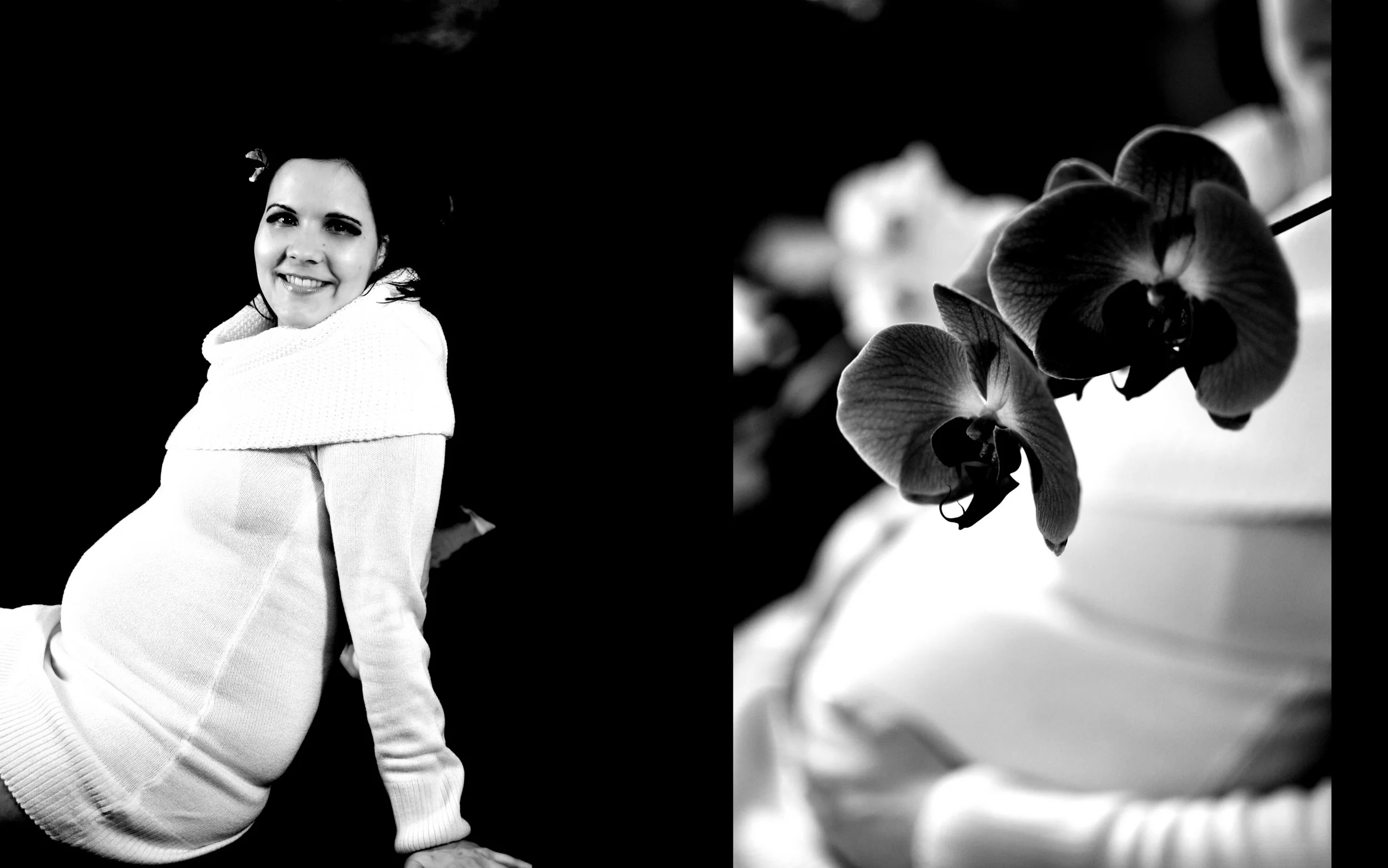 orchideen 4.jpg
