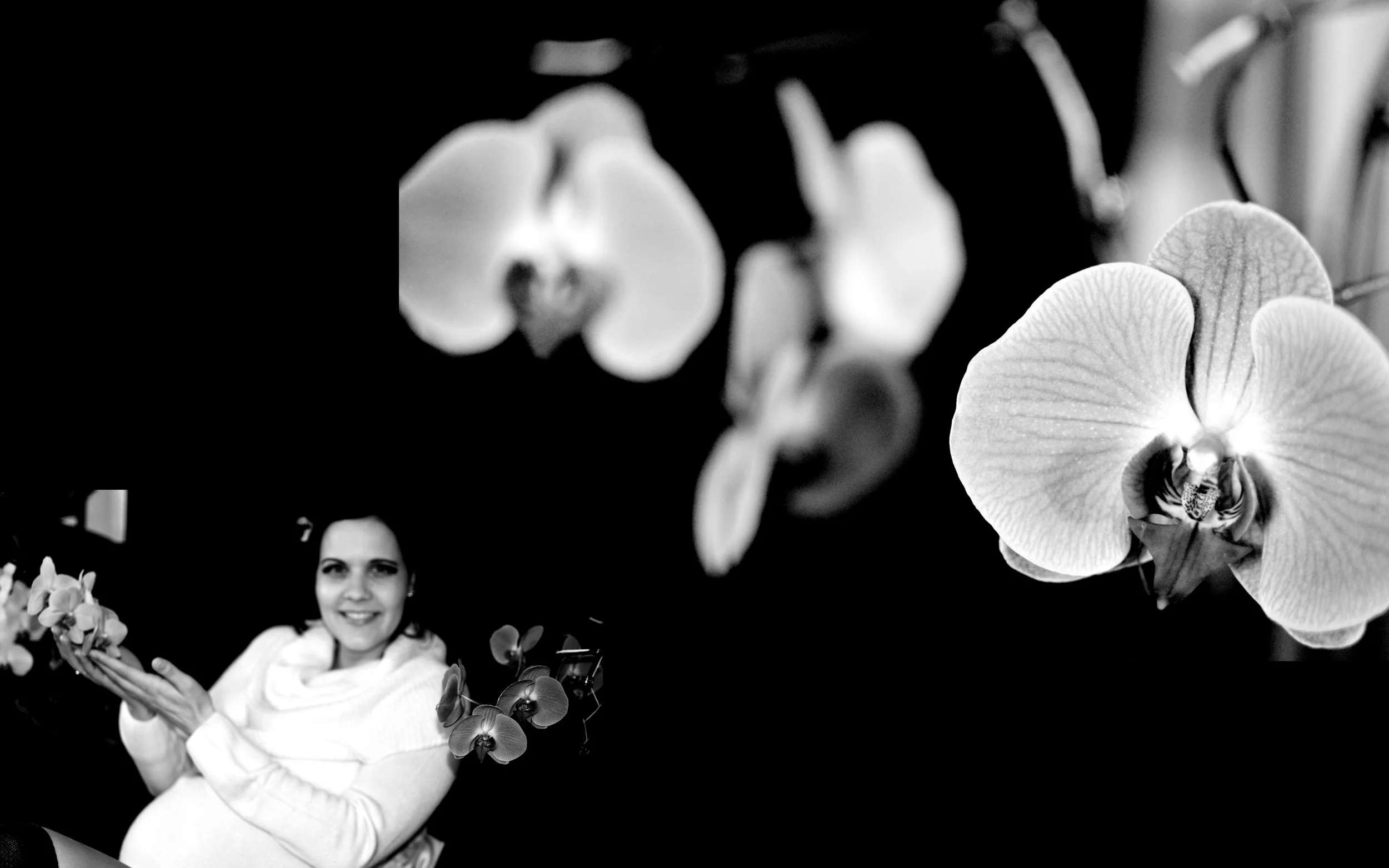 orchideen 8.jpg
