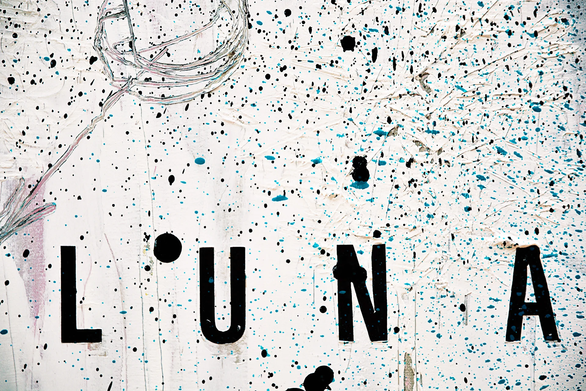 luna,net01.jpg