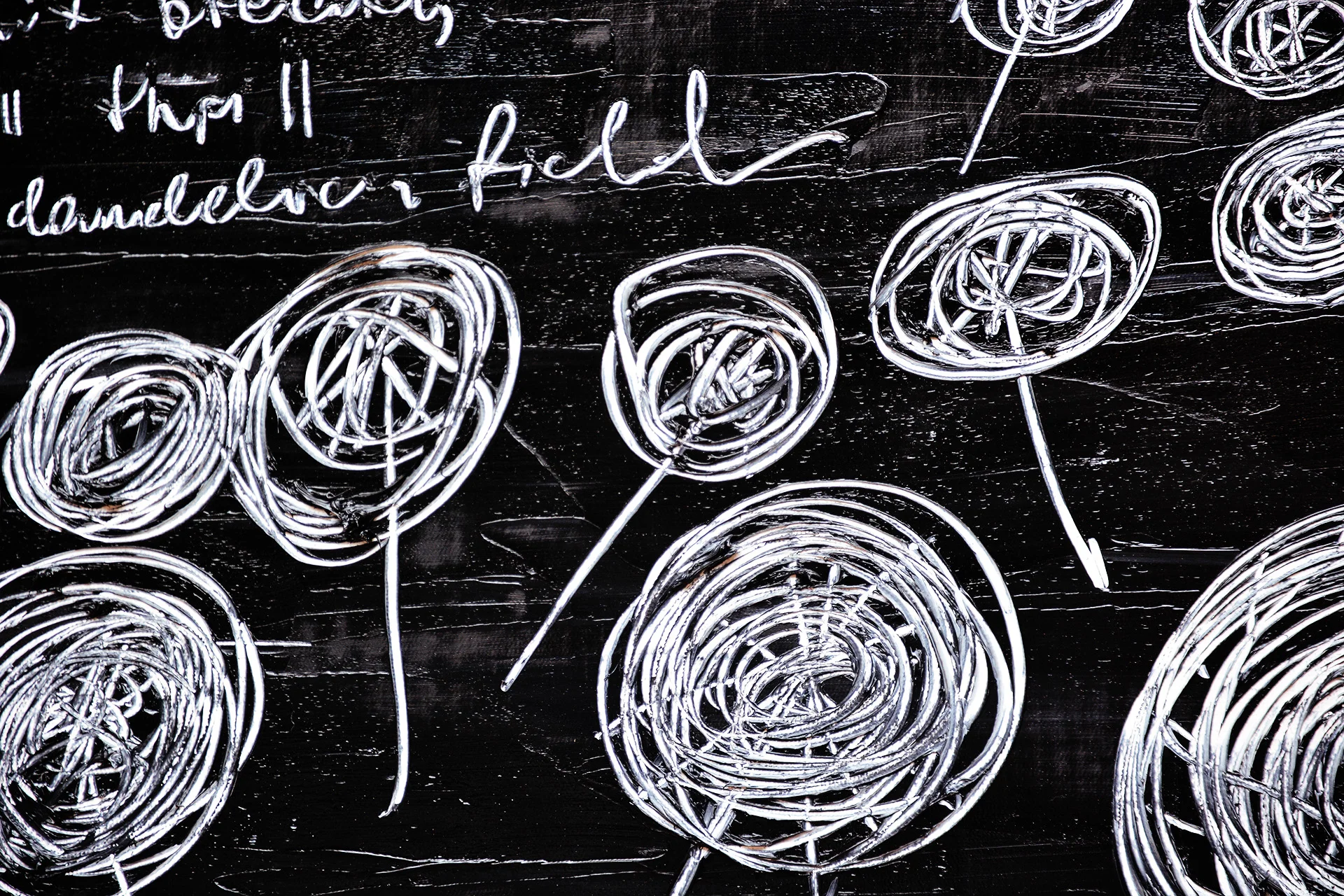 dandelion field 2 net.jpg