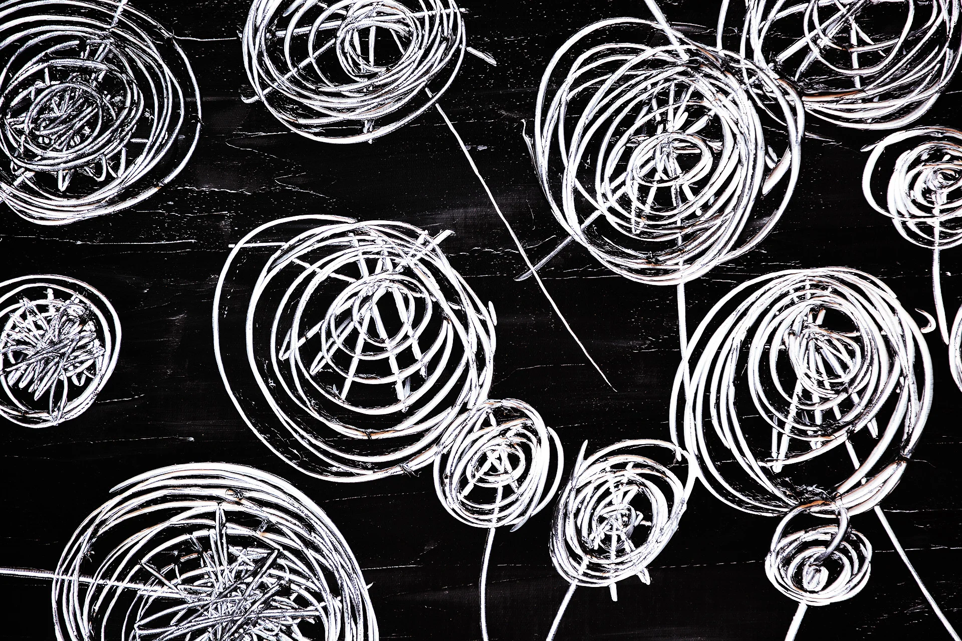 dandelion field 1 net.jpg
