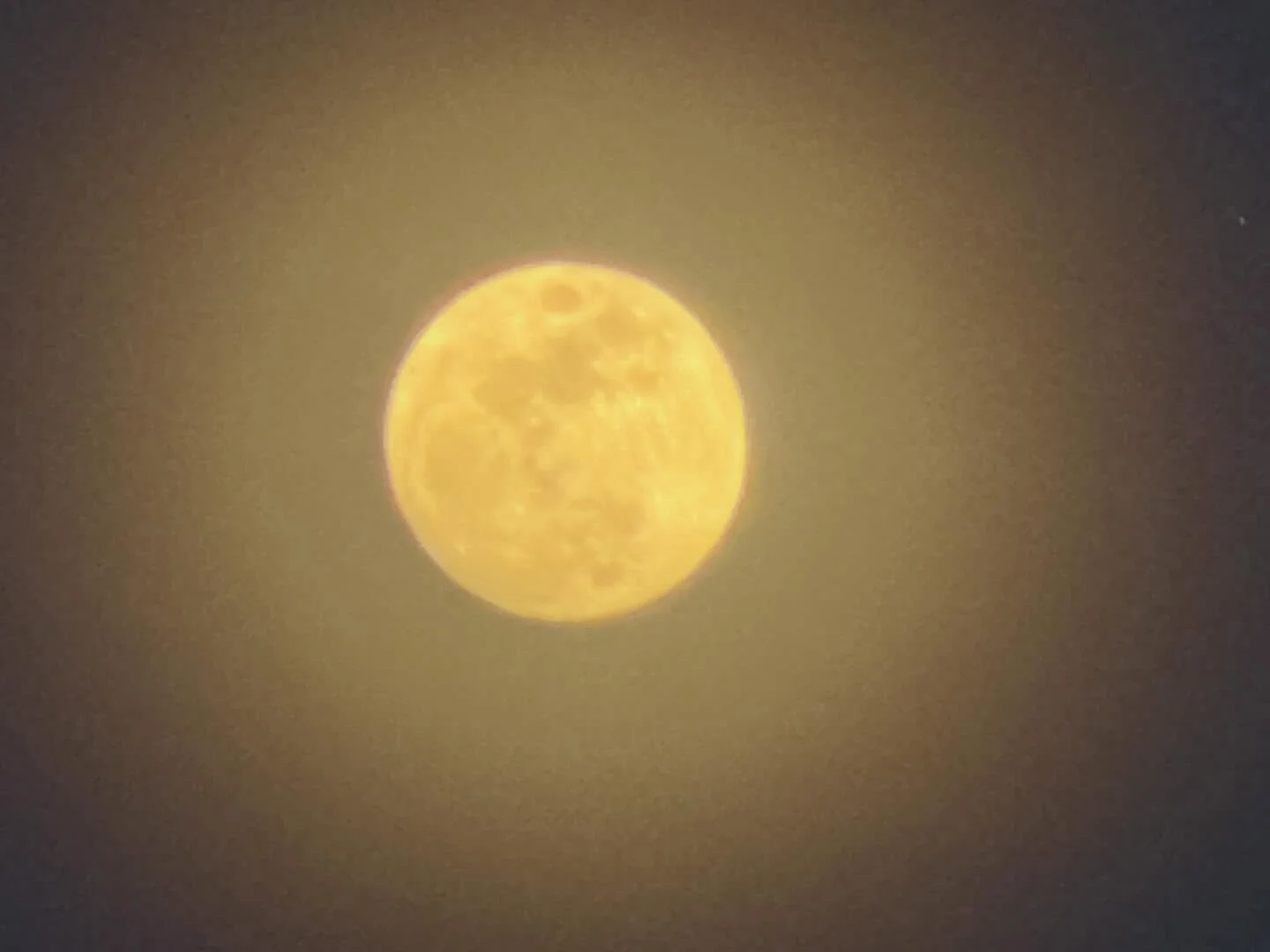 Join RudyJakeJosh downtown this Friday (4/3) out in front of Tarrants (1 w broad st) between 6-8pm. 

We&rsquo;ll be picking tunes, licking wounds, and gassing goons for RVA First Fridays Art Walk!

ART!