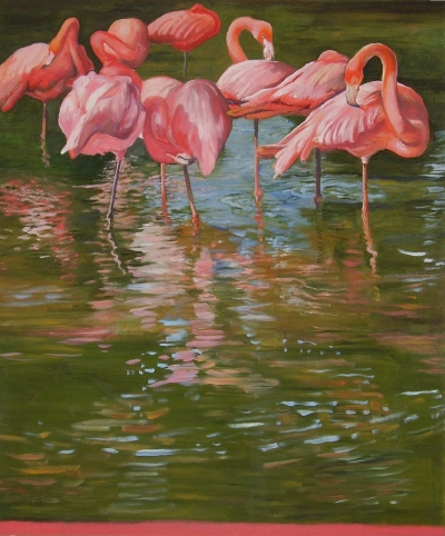 Flamingos