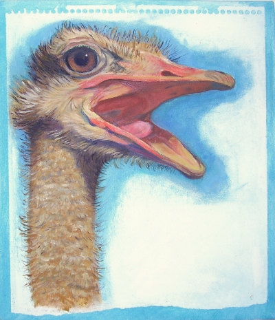 Ostrich Portrait