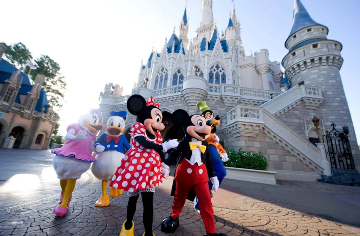 Disney's Magical Experience