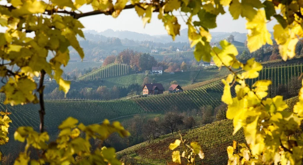 Wine Country Journey