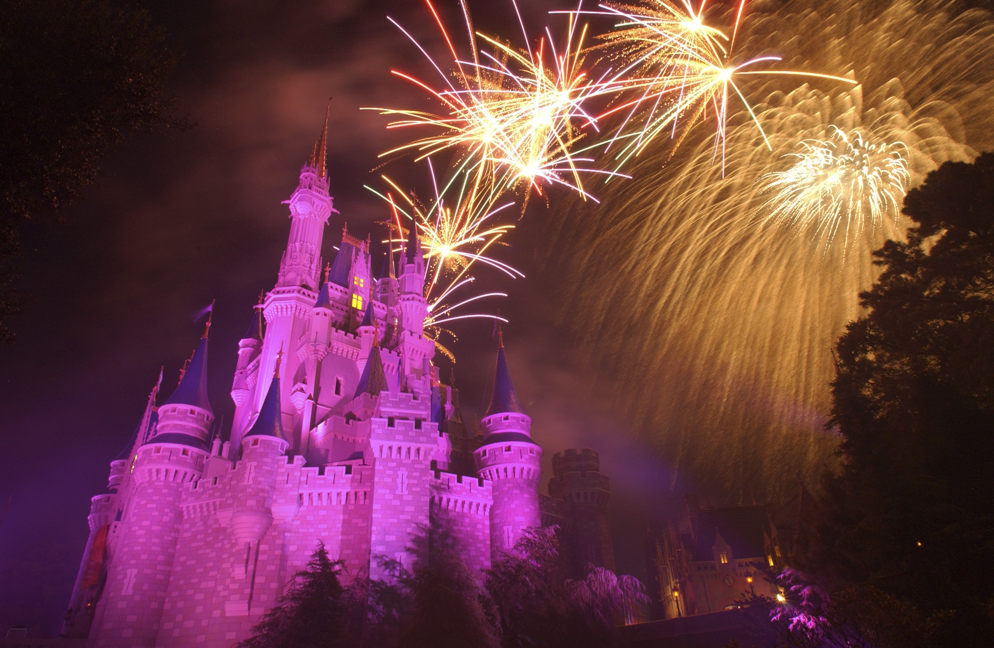   Disney’s Magical Experience!    Have an adventure in the Magical Kingdom  