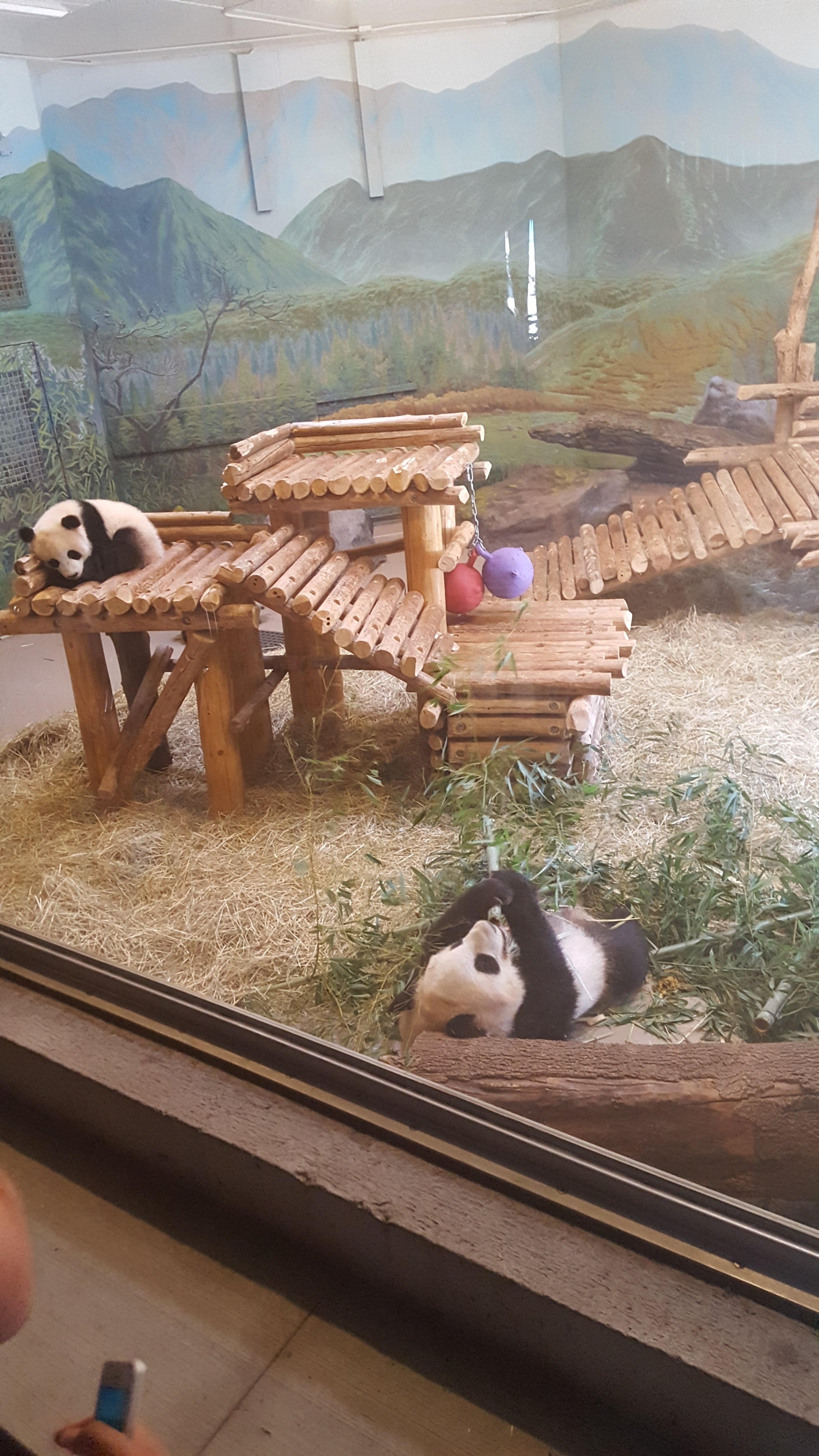 Toronto Zoo