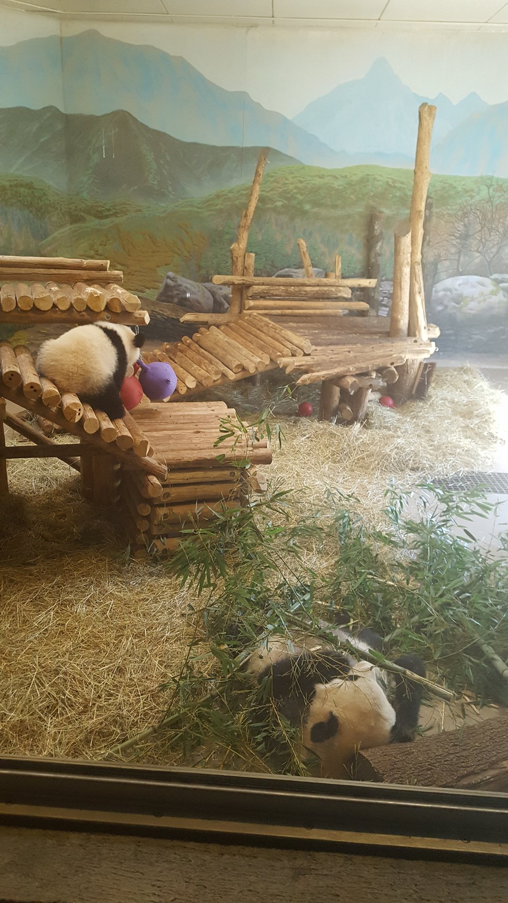  Toronto Zoo 