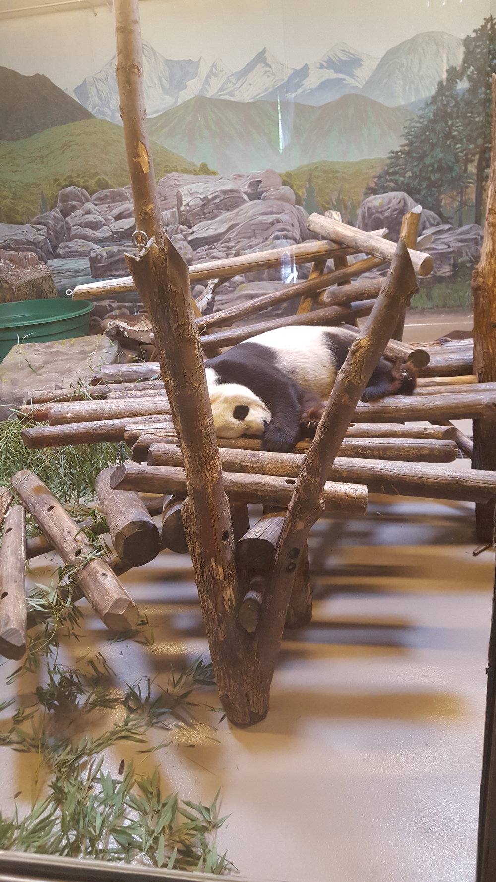  Toronto Zoo 