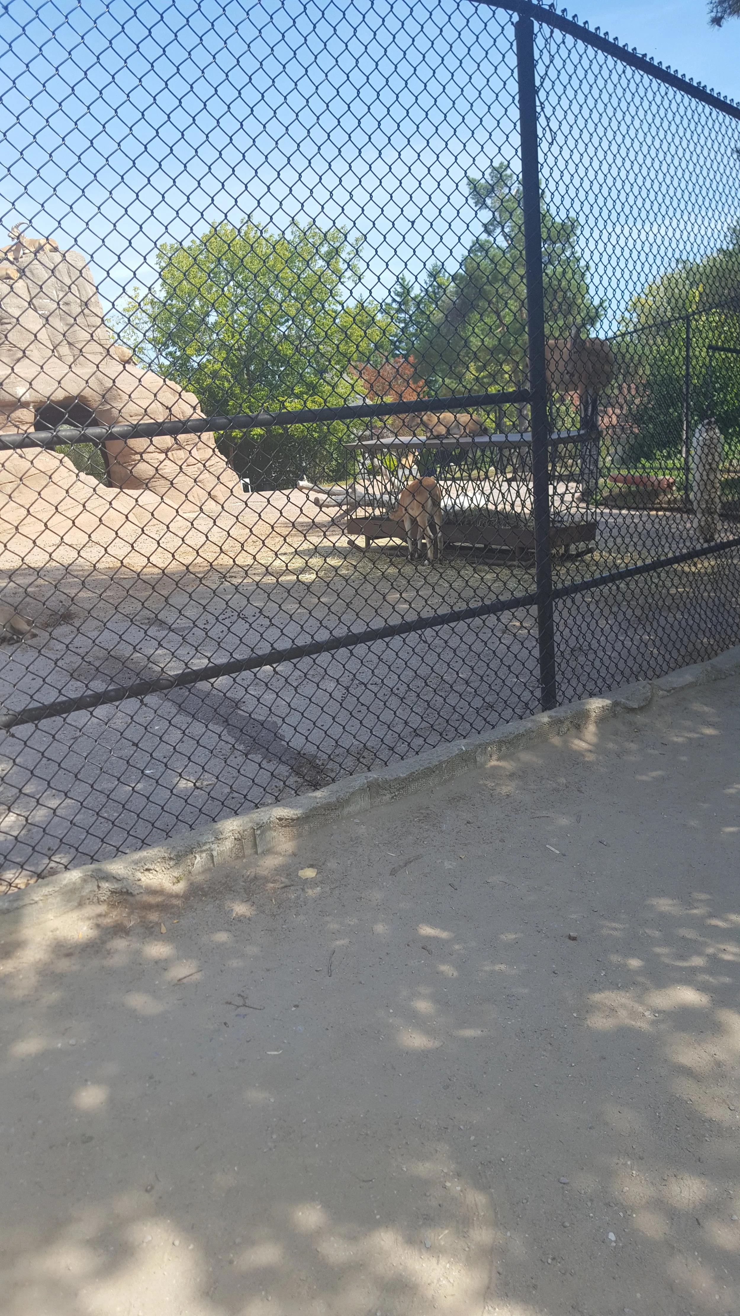 Toronto Zoo