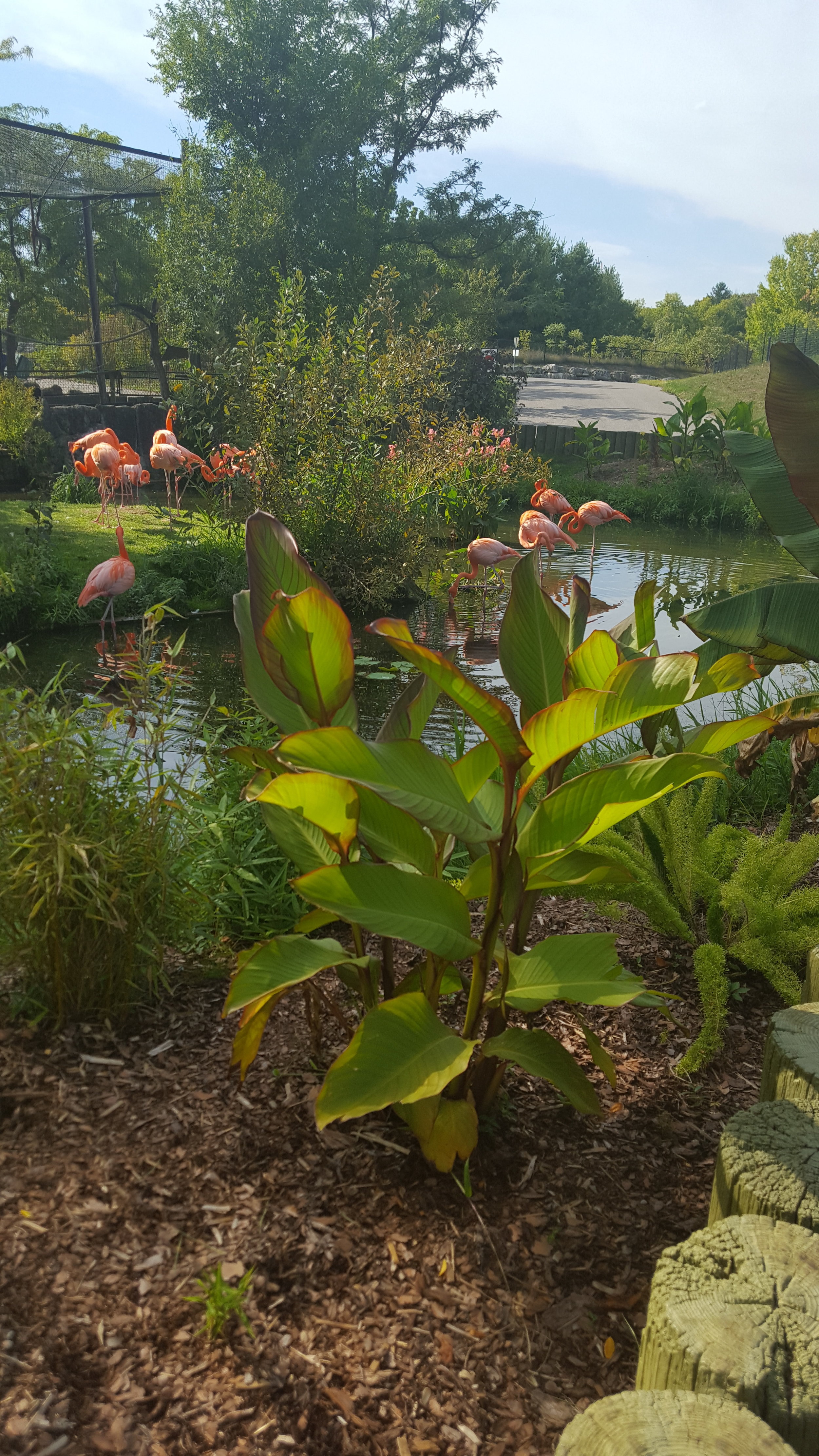 Toronto Zoo
