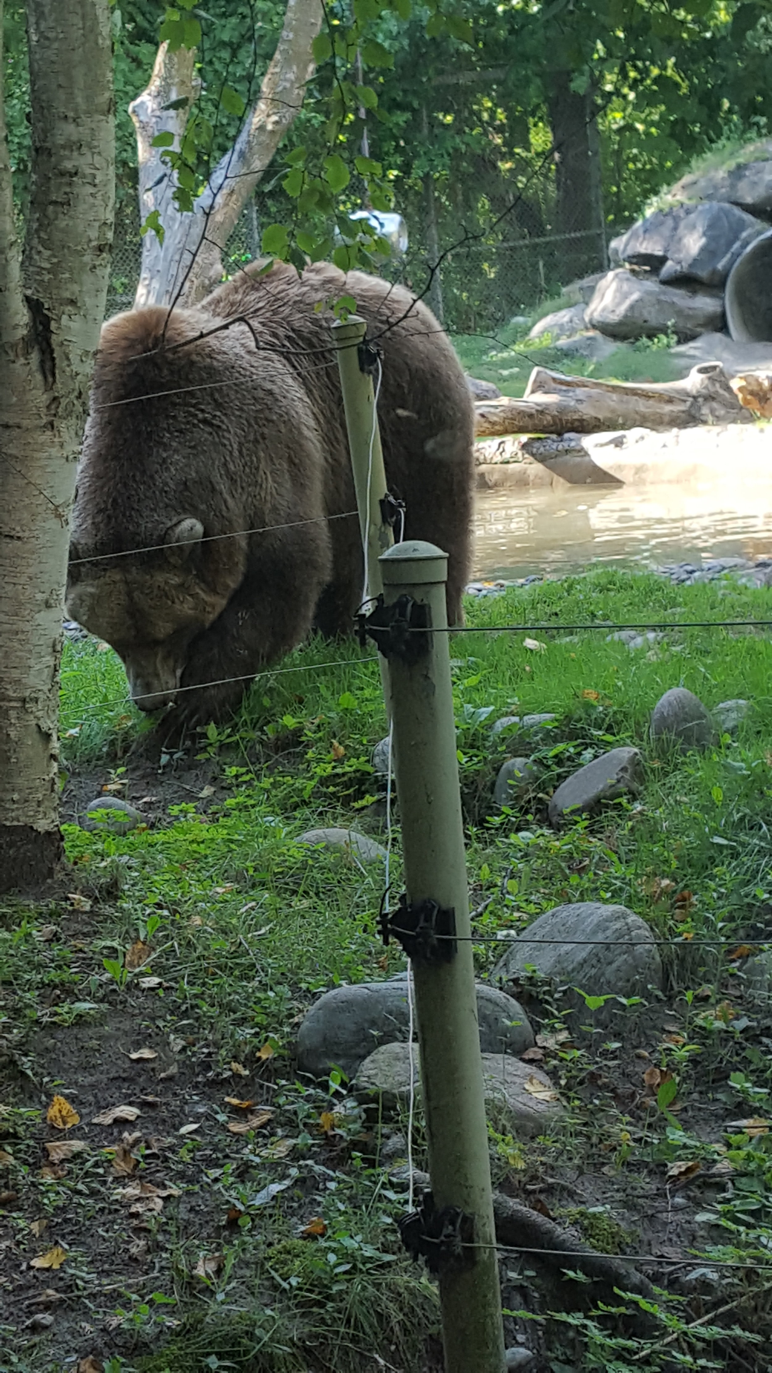  Toronto Zoo 