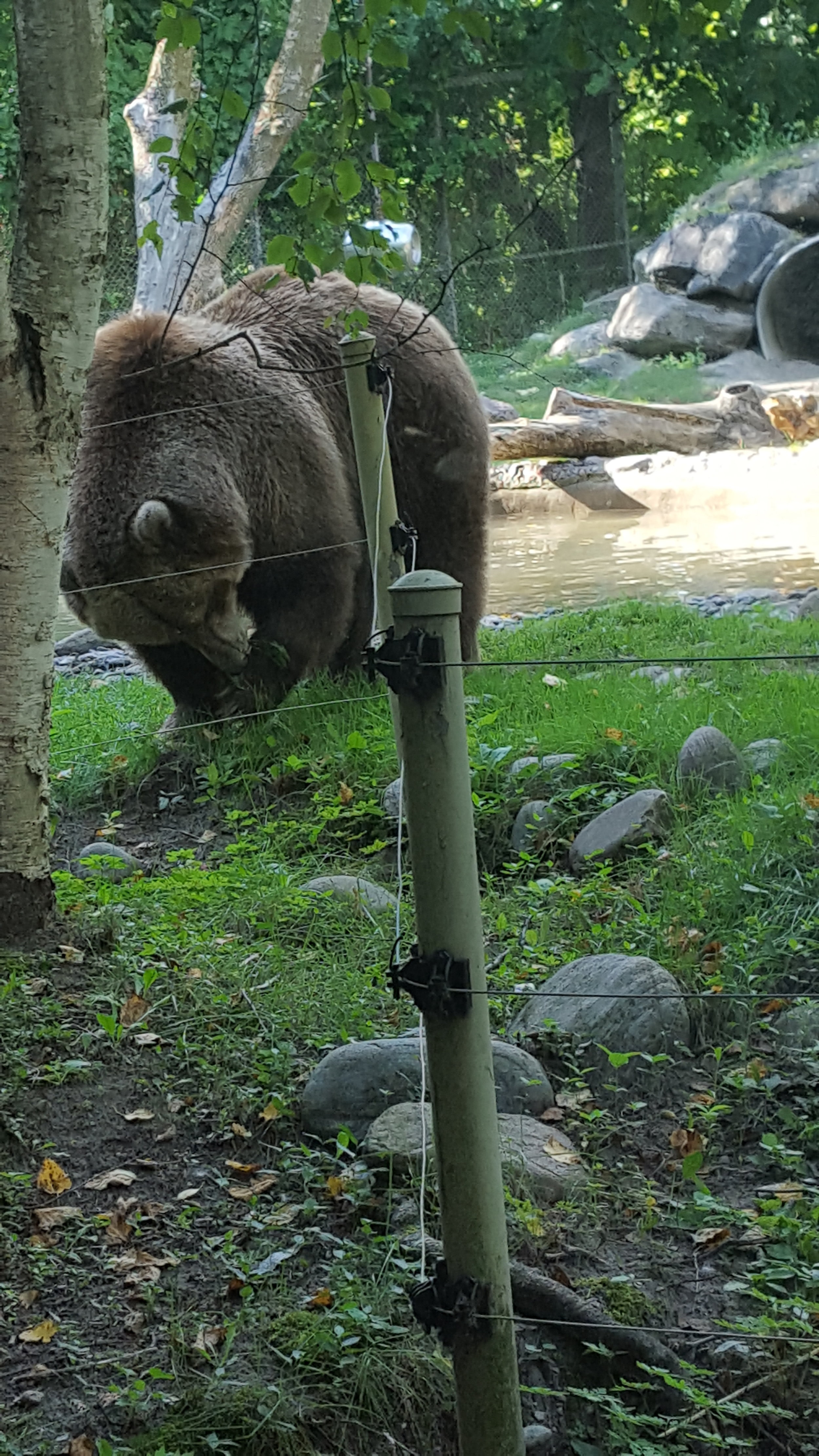 Toronto Zoo