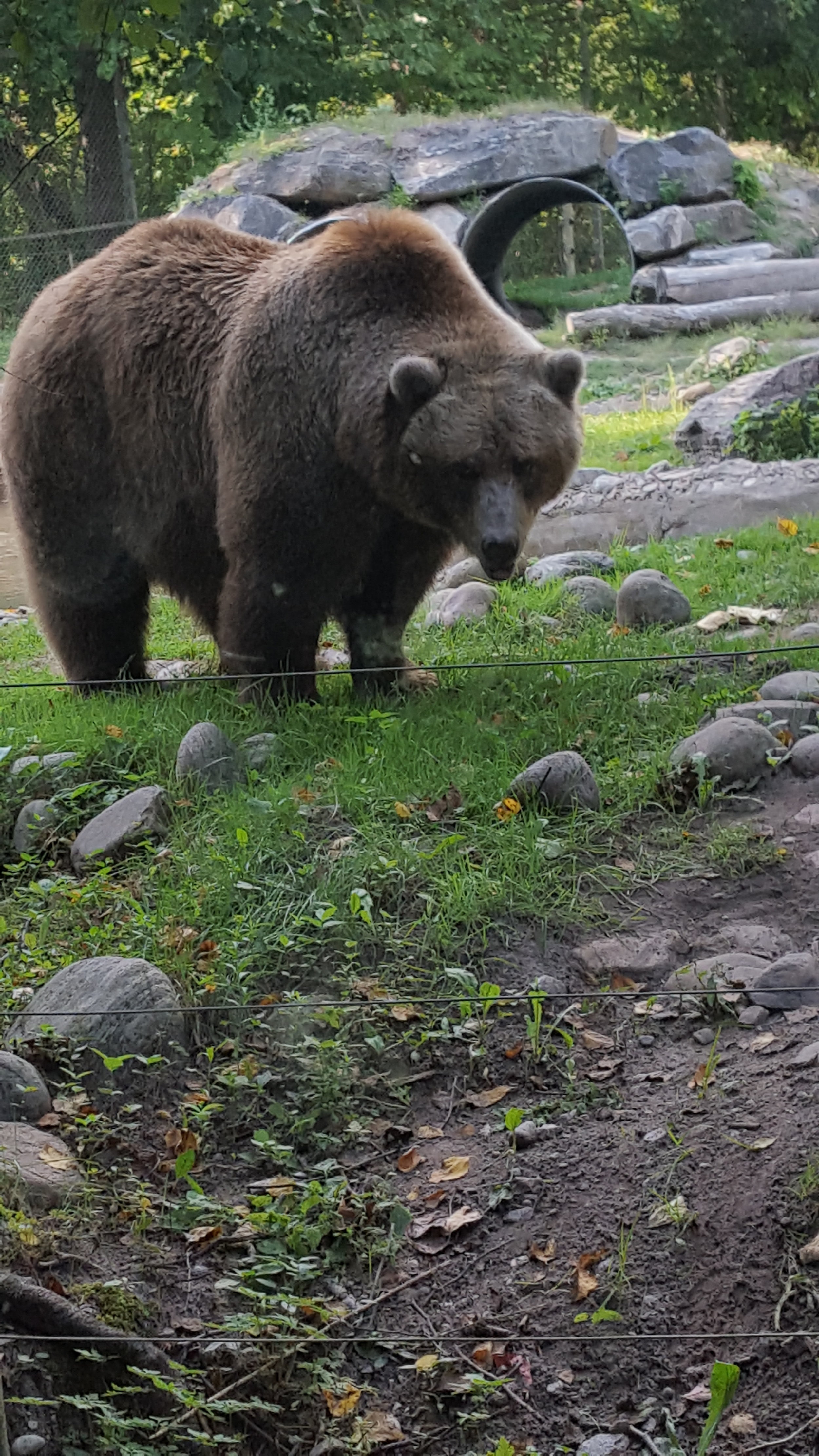  Toronto Zoo 