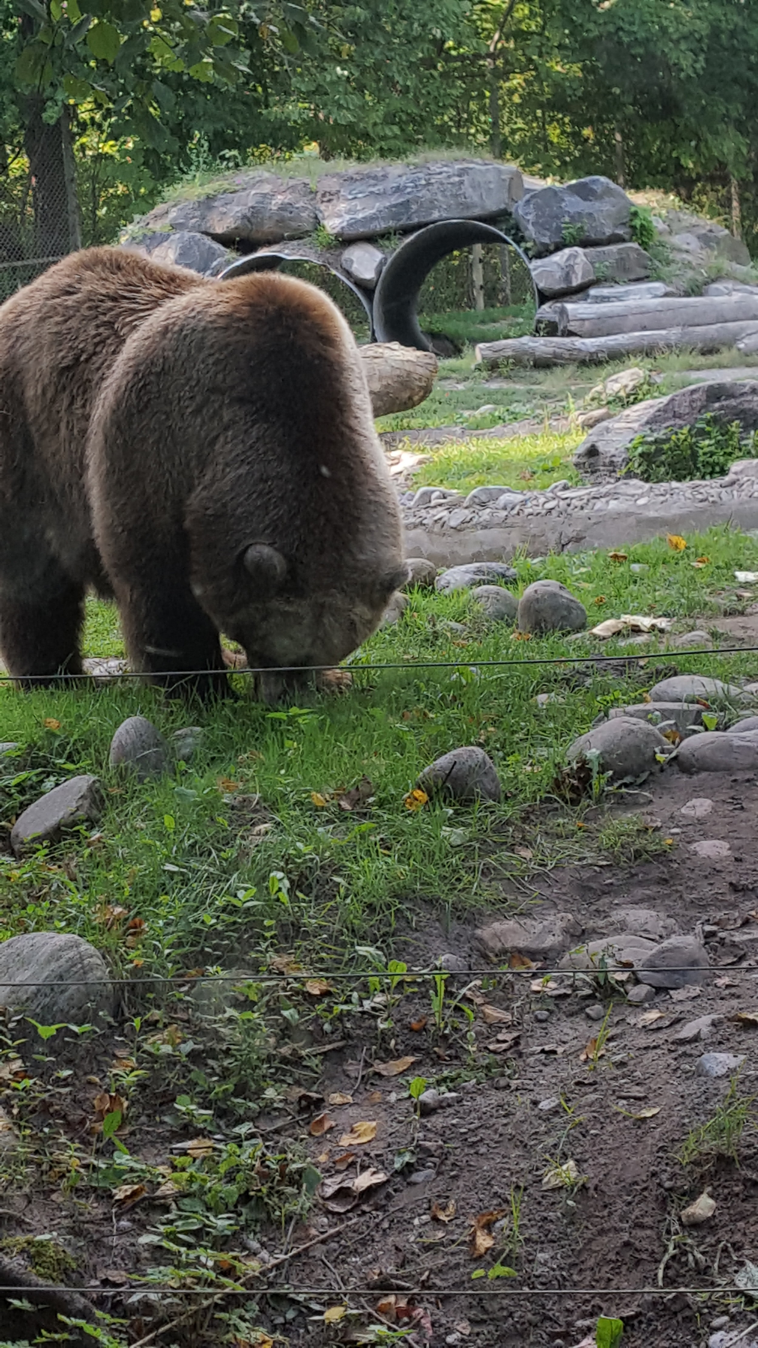 Toronto Zoo