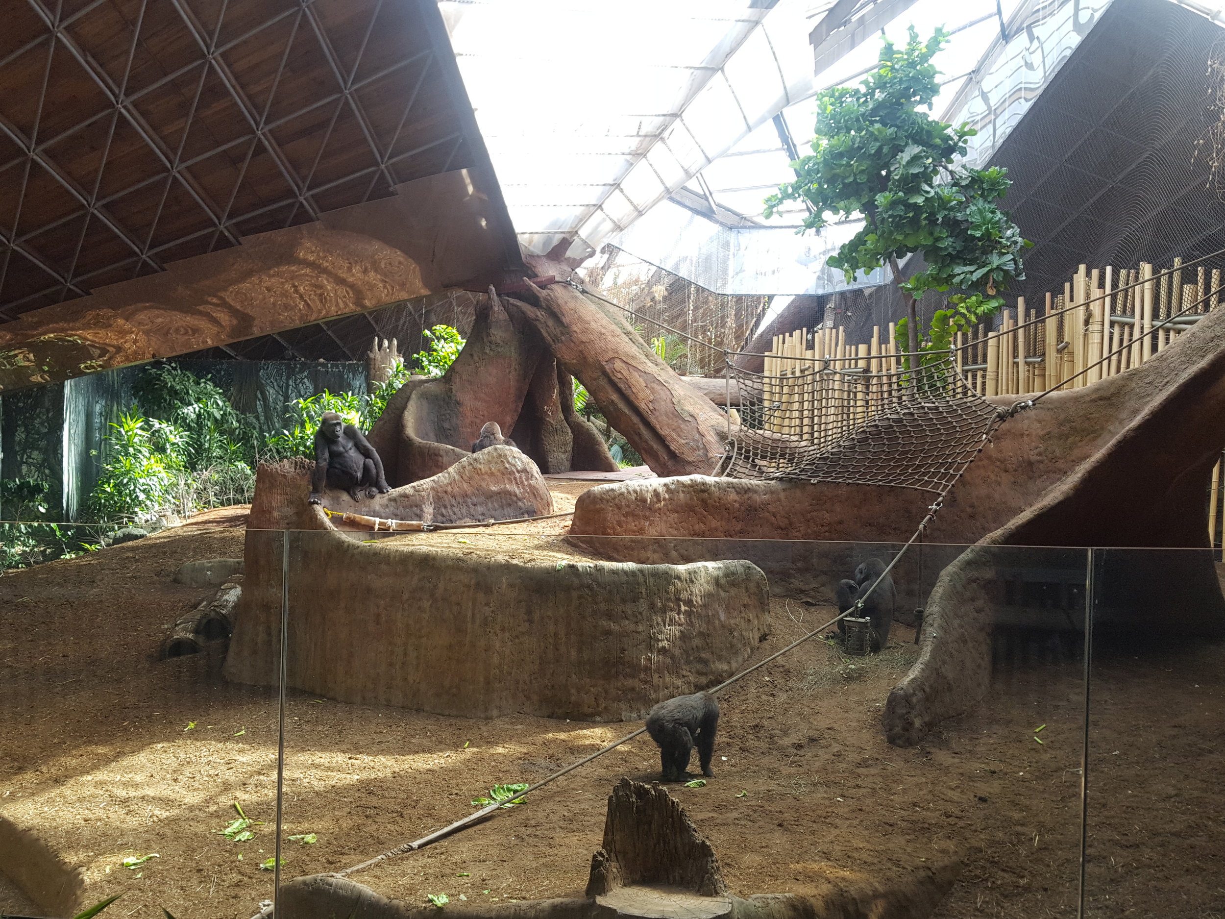 Toronto Zoo
