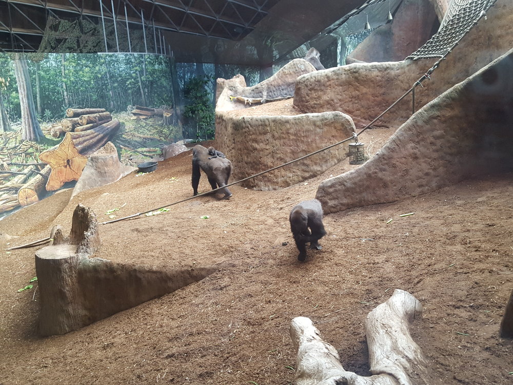  Toronto Zoo 