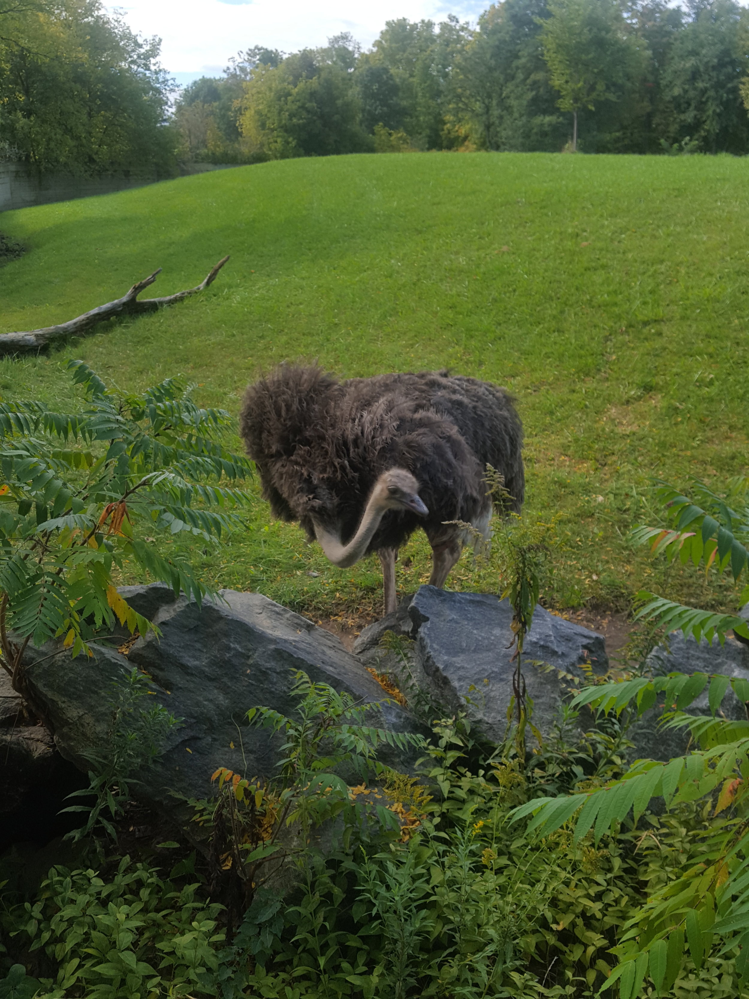  Toronto Zoo 