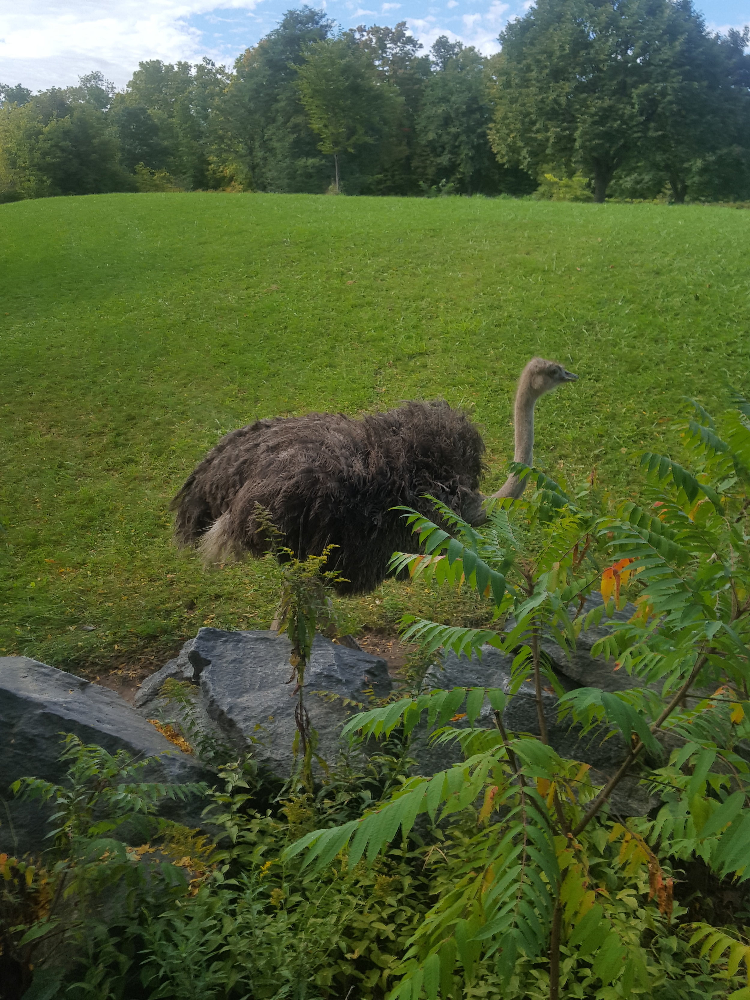  Toronto Zoo 