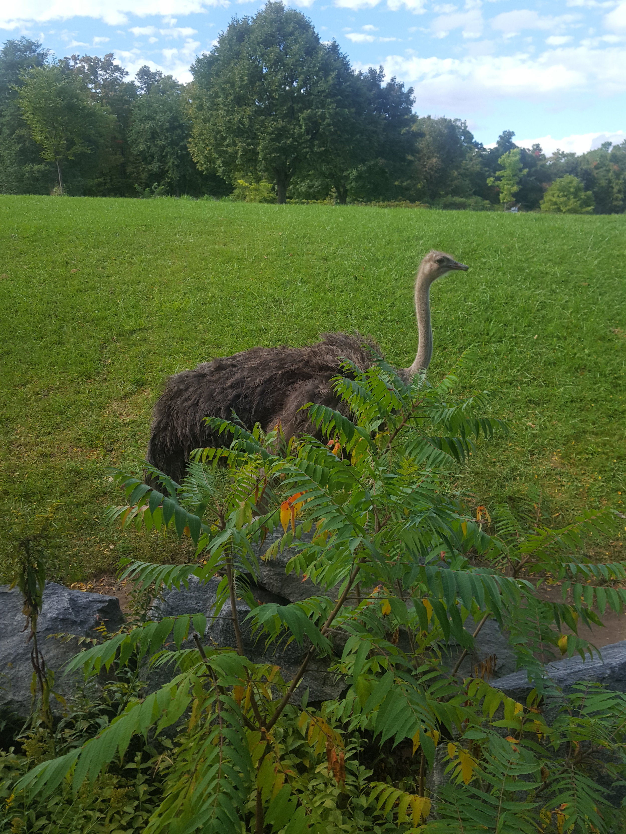  Toronto Zoo 