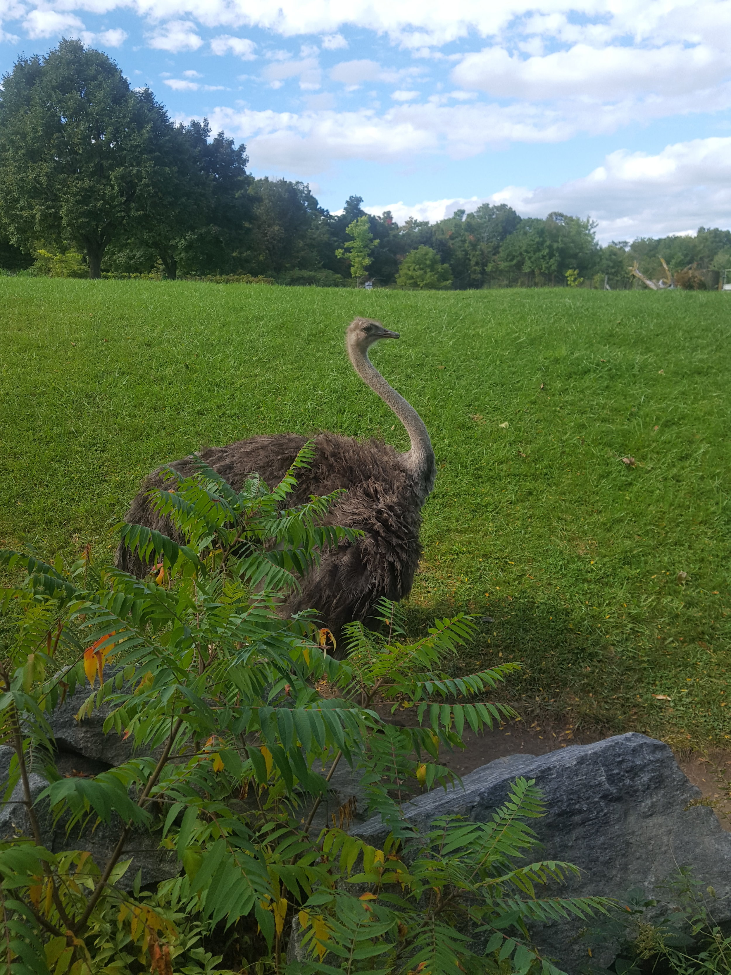 Toronto Zoo