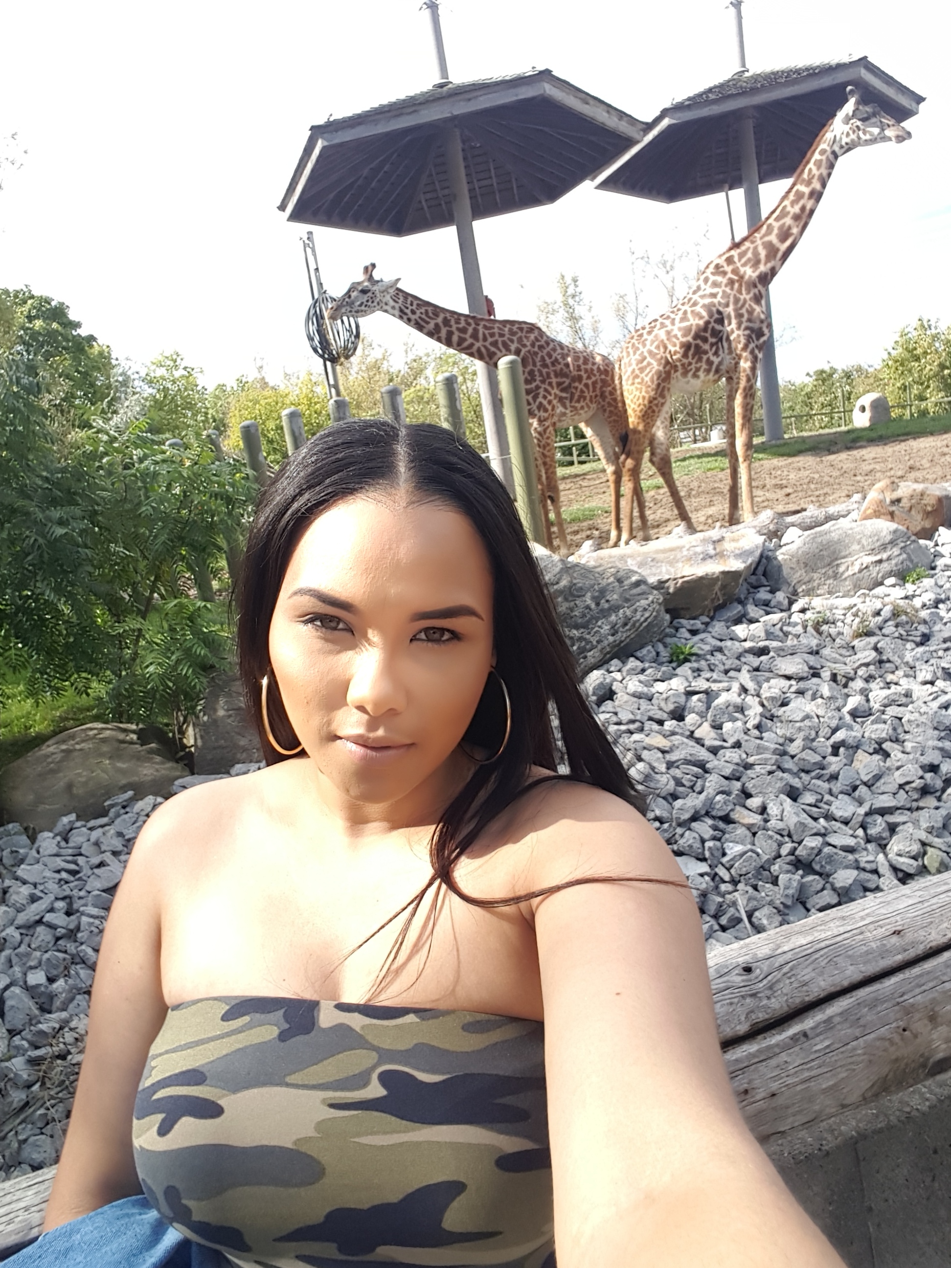  Toronto Zoo 