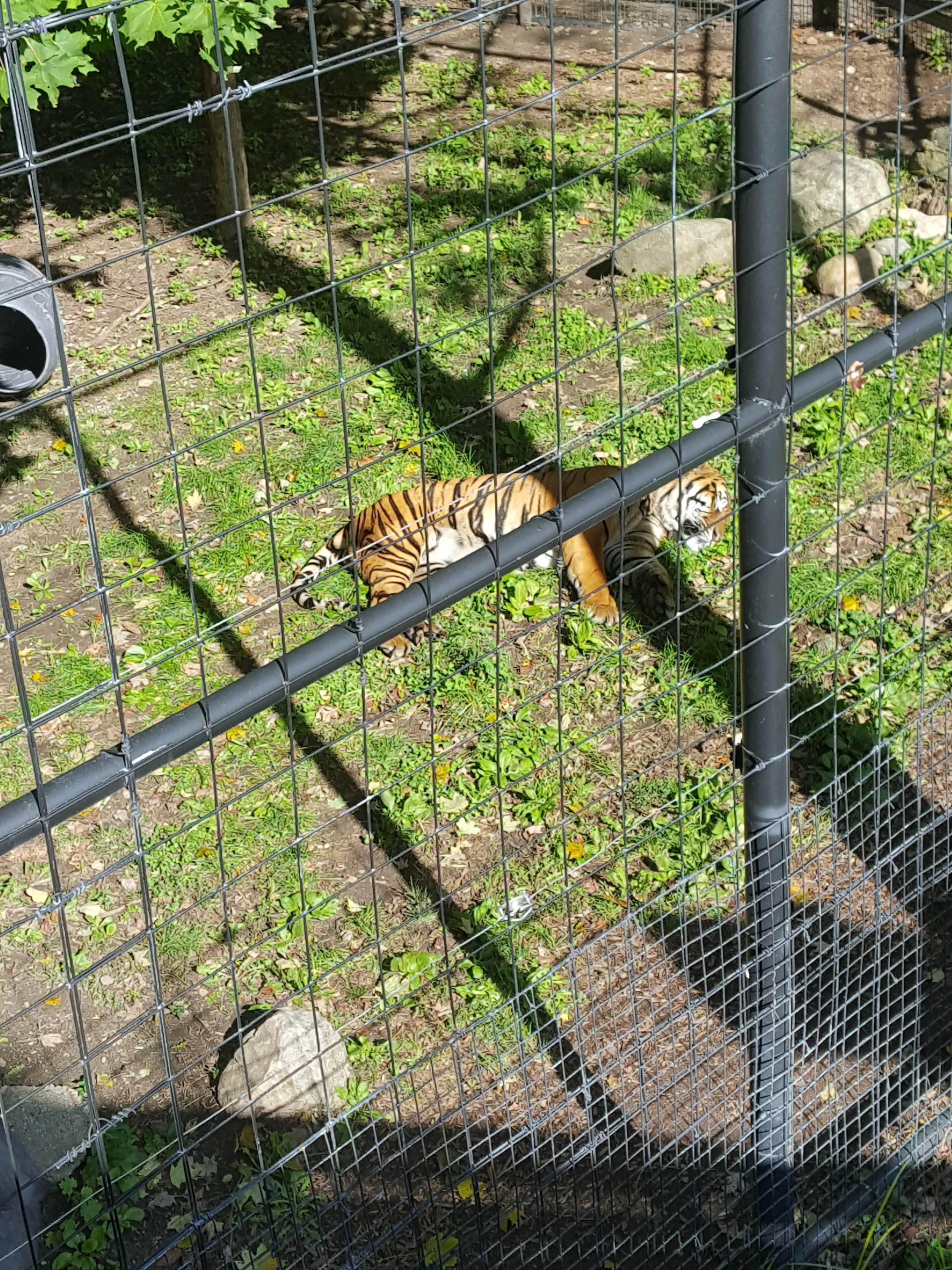  Toronto Zoo 