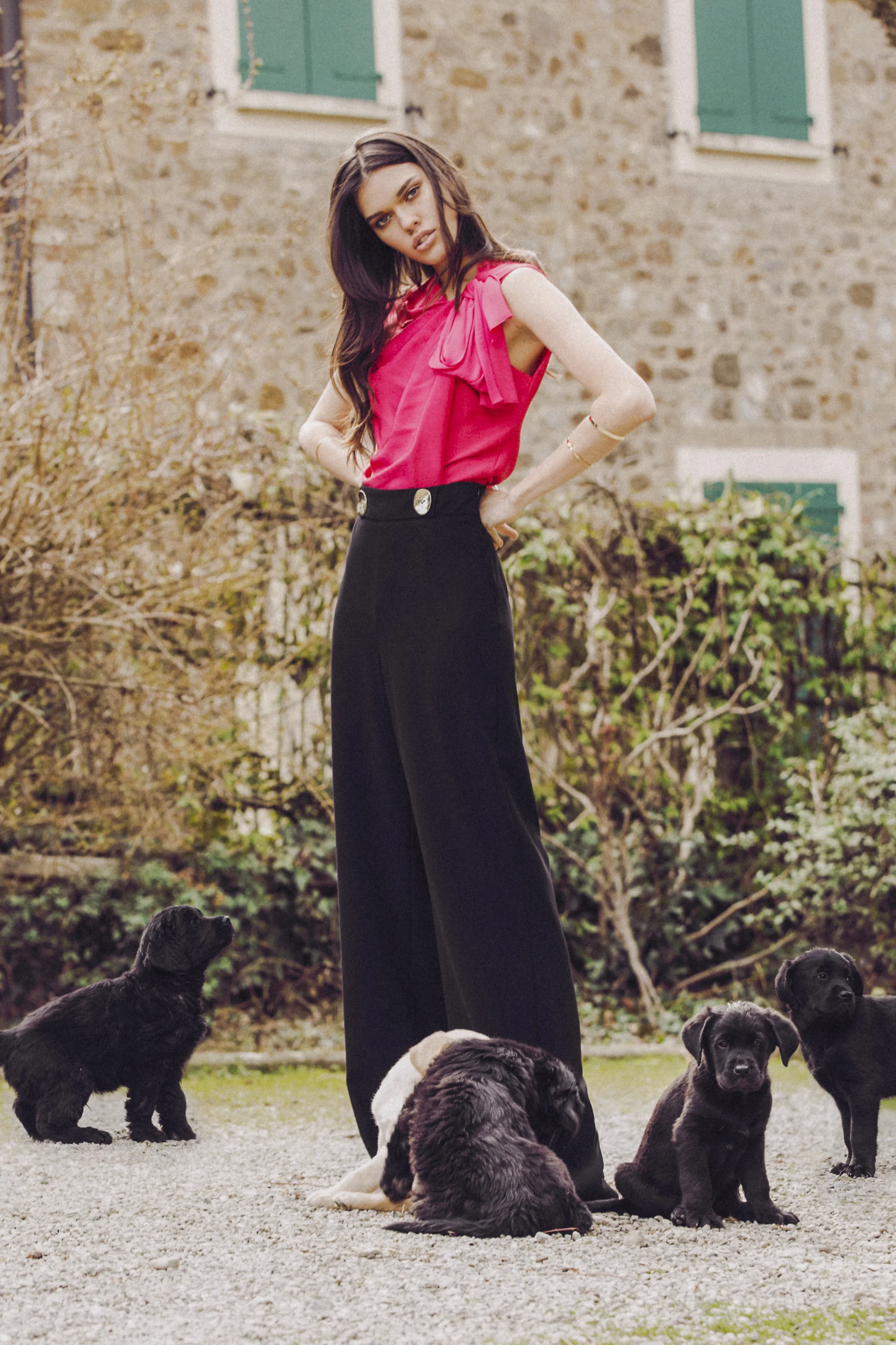 PUPPIESN - LUCY MAGAZINE-2.jpg