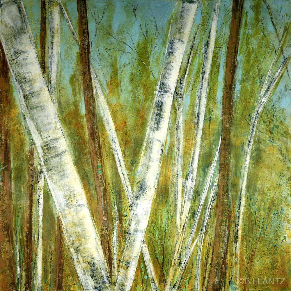 My Woods ©BJLantz