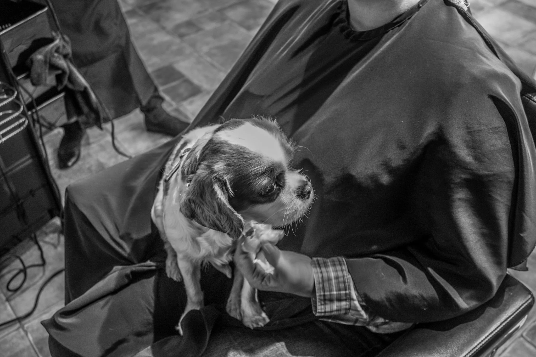 Avotu ielas salona bilžu blogs Instagram