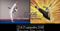 [BEYNE-HEUSAY] Stage avec Maître Damaso & Ky-Tu Dang