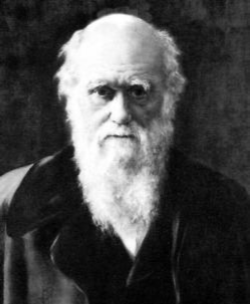 Darwin.png