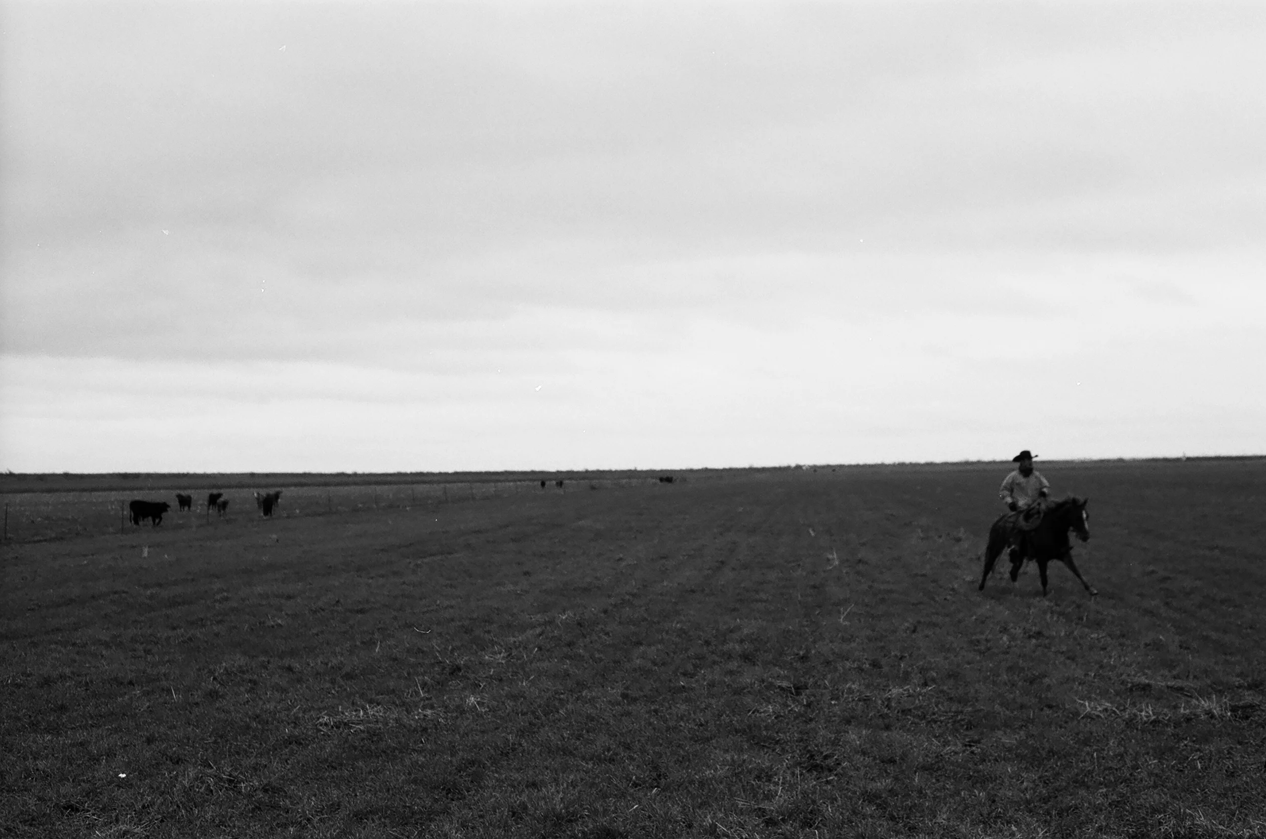 HOLLIDAY, TX
