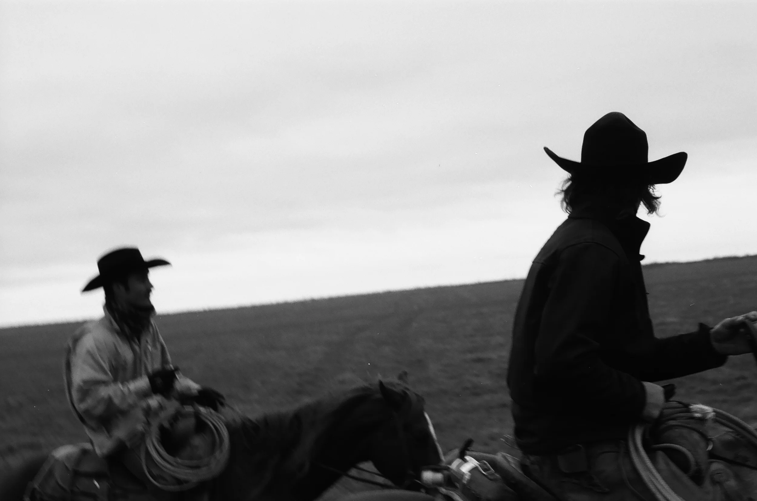 HOLLIDAY, TX
