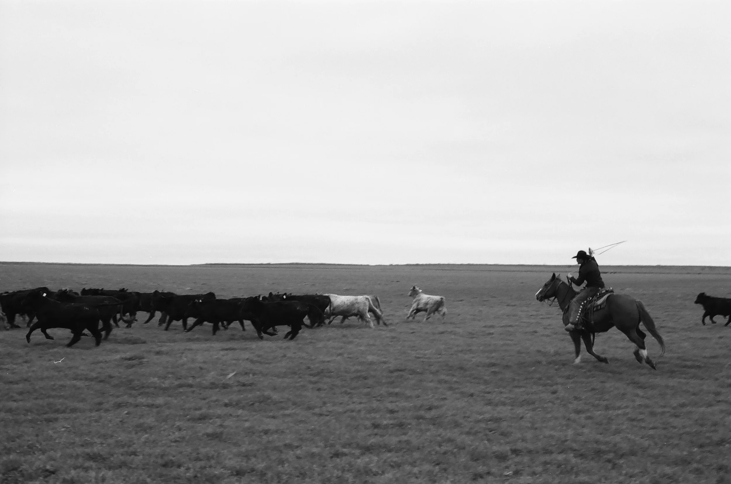 HOLLIDAY, TX