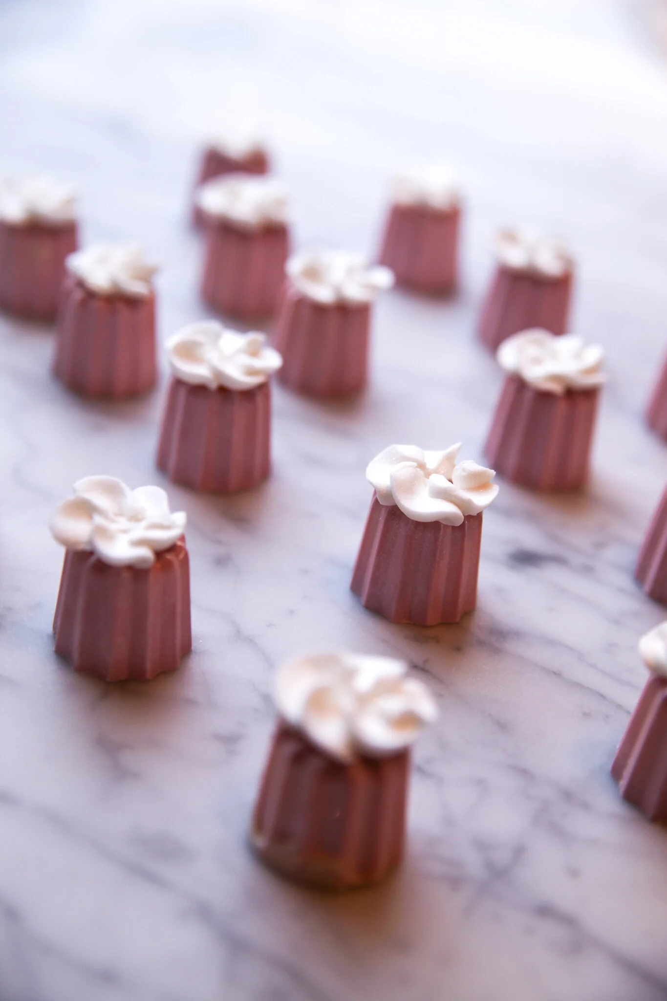 Let them Eat Cake Truffle