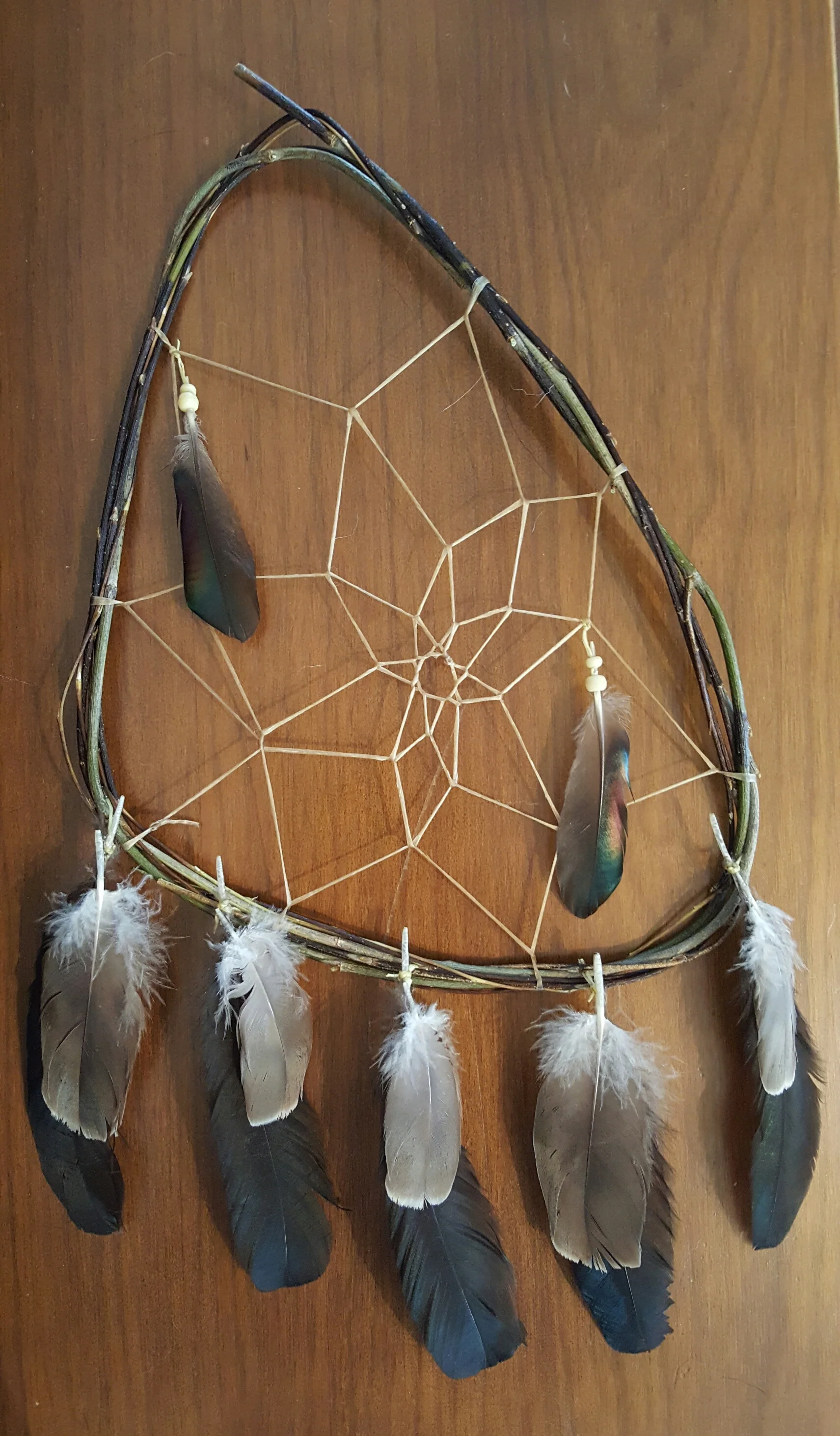 20151008_111454-1.jpg