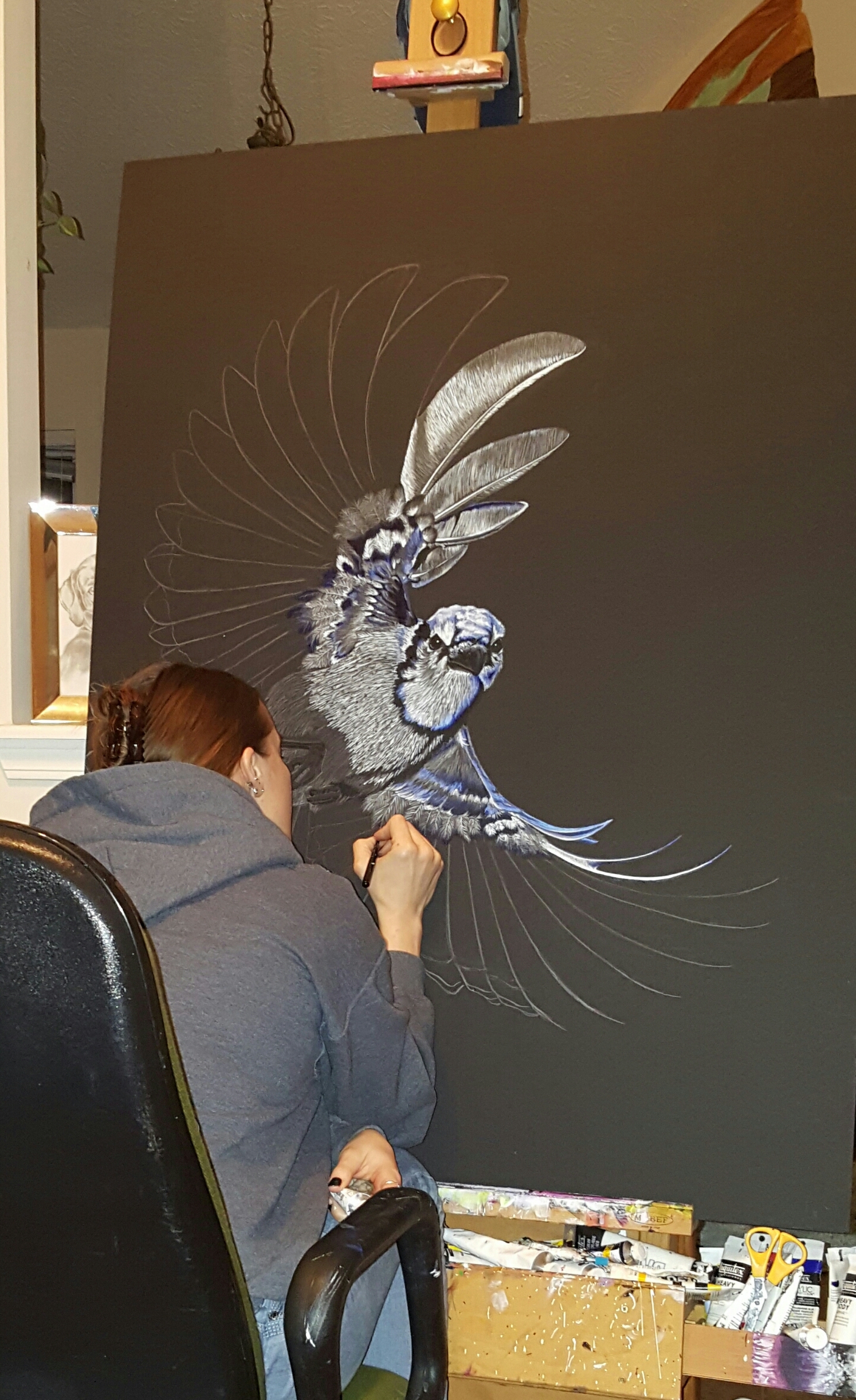 Blue Jay I'm workin on