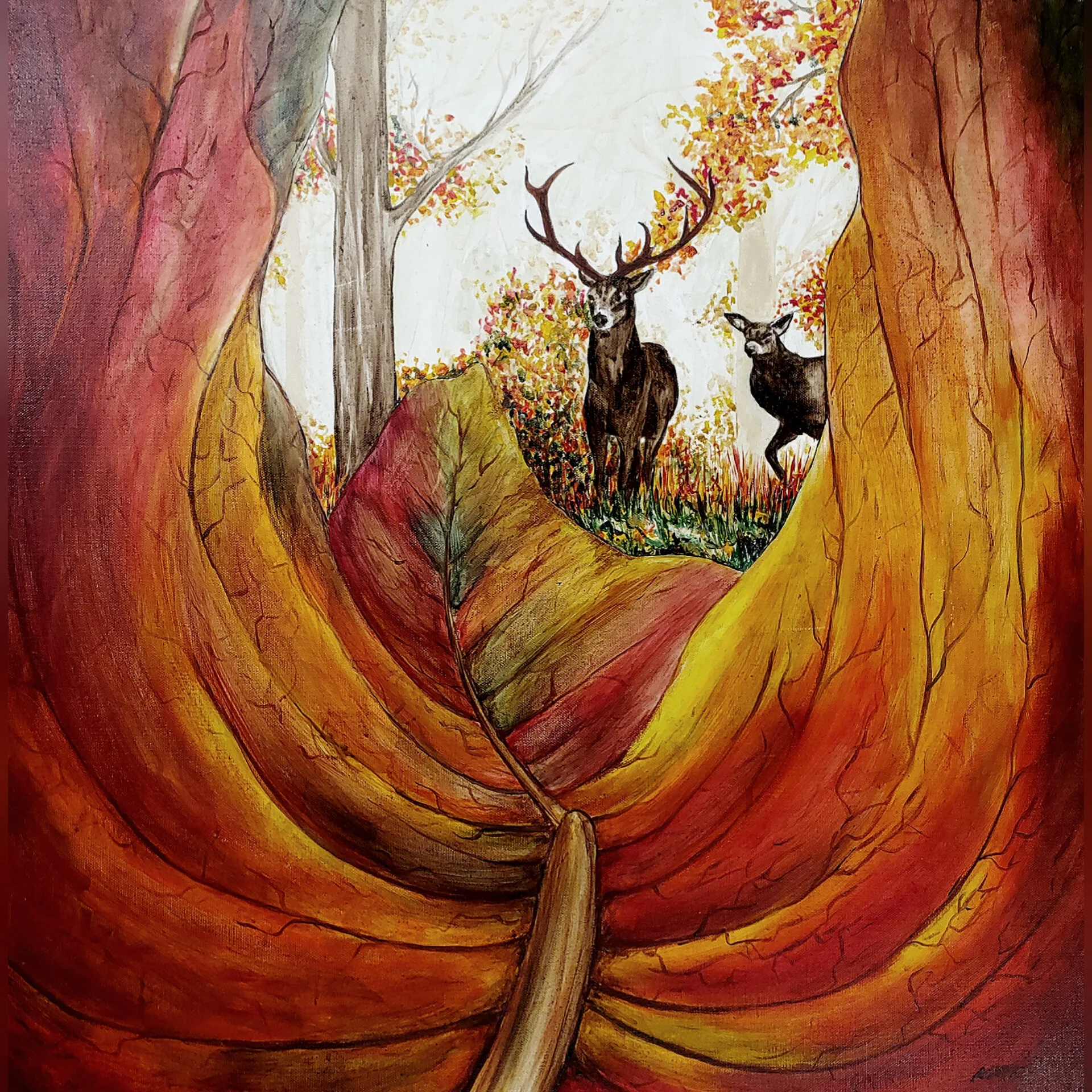 InShot_20201016_145939181 (1).jpg