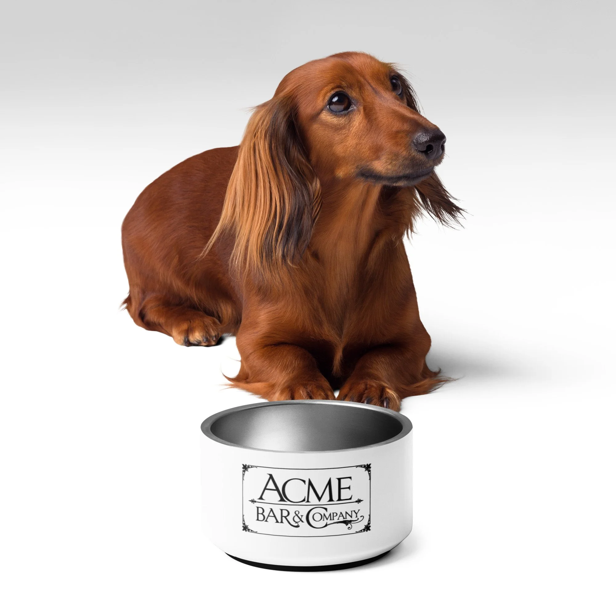 pet-bowl-white-18-oz-front-2-6837c6424790d.jpg